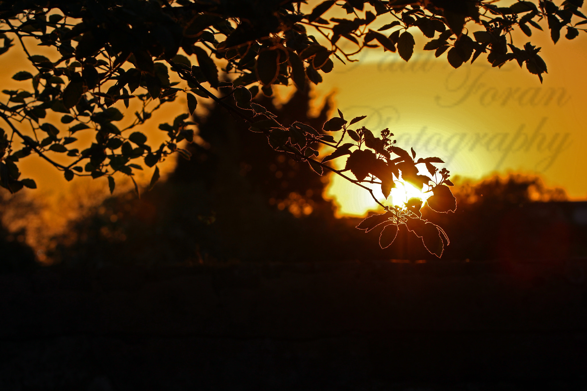 Canon EF 70-200mm F2.8L IS II USM sample photo. Sunset eclipse photography
