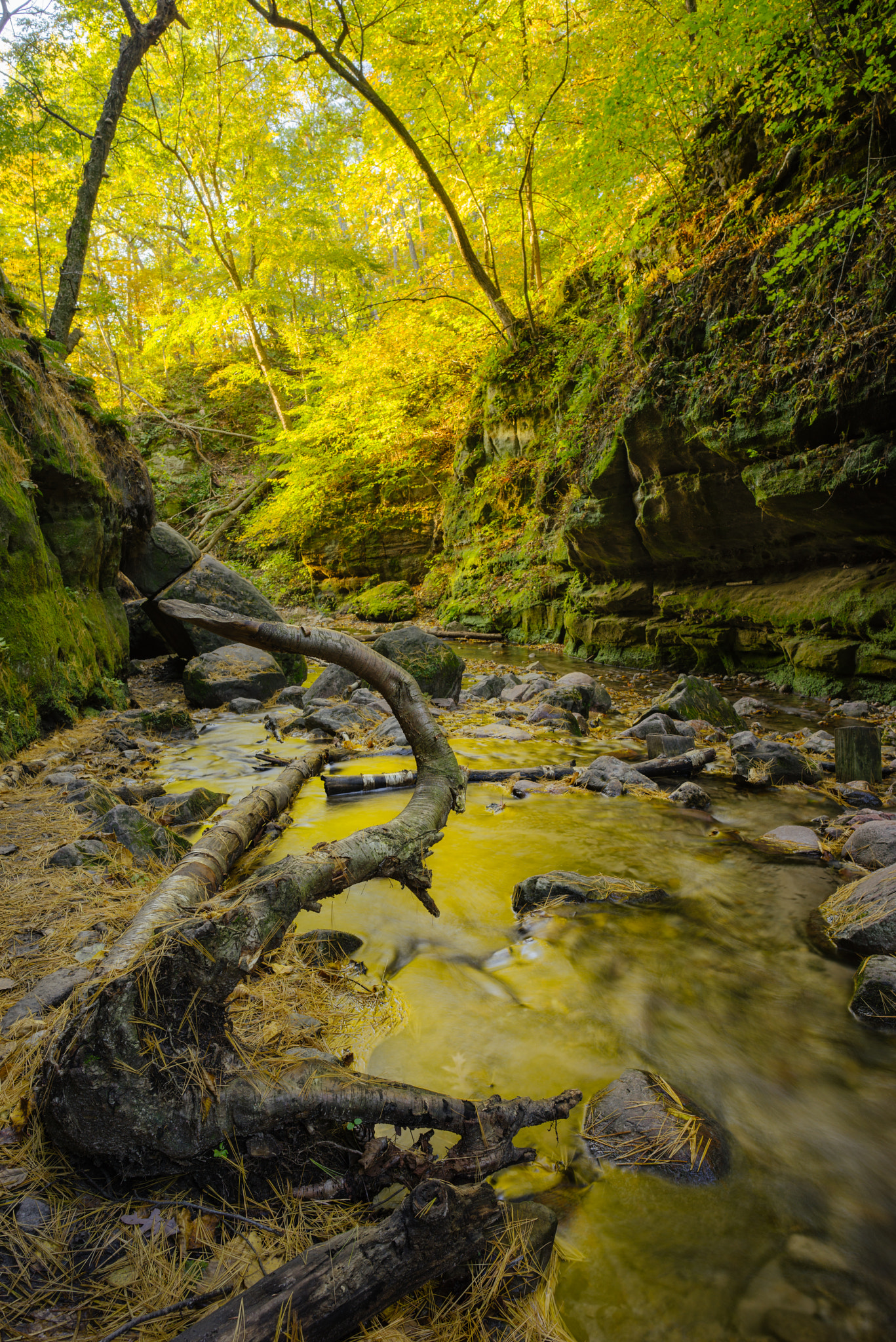 Sony a7R + E 21mm F2.8 sample photo. Morning glow photography