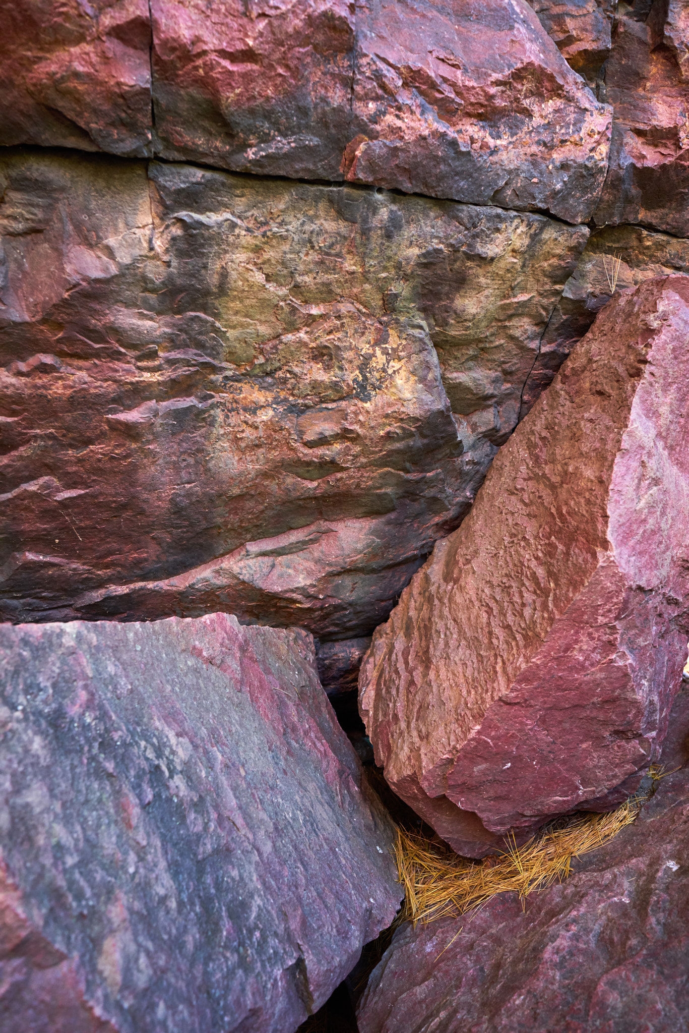 Sony a7R sample photo. Devils lake red rock photography