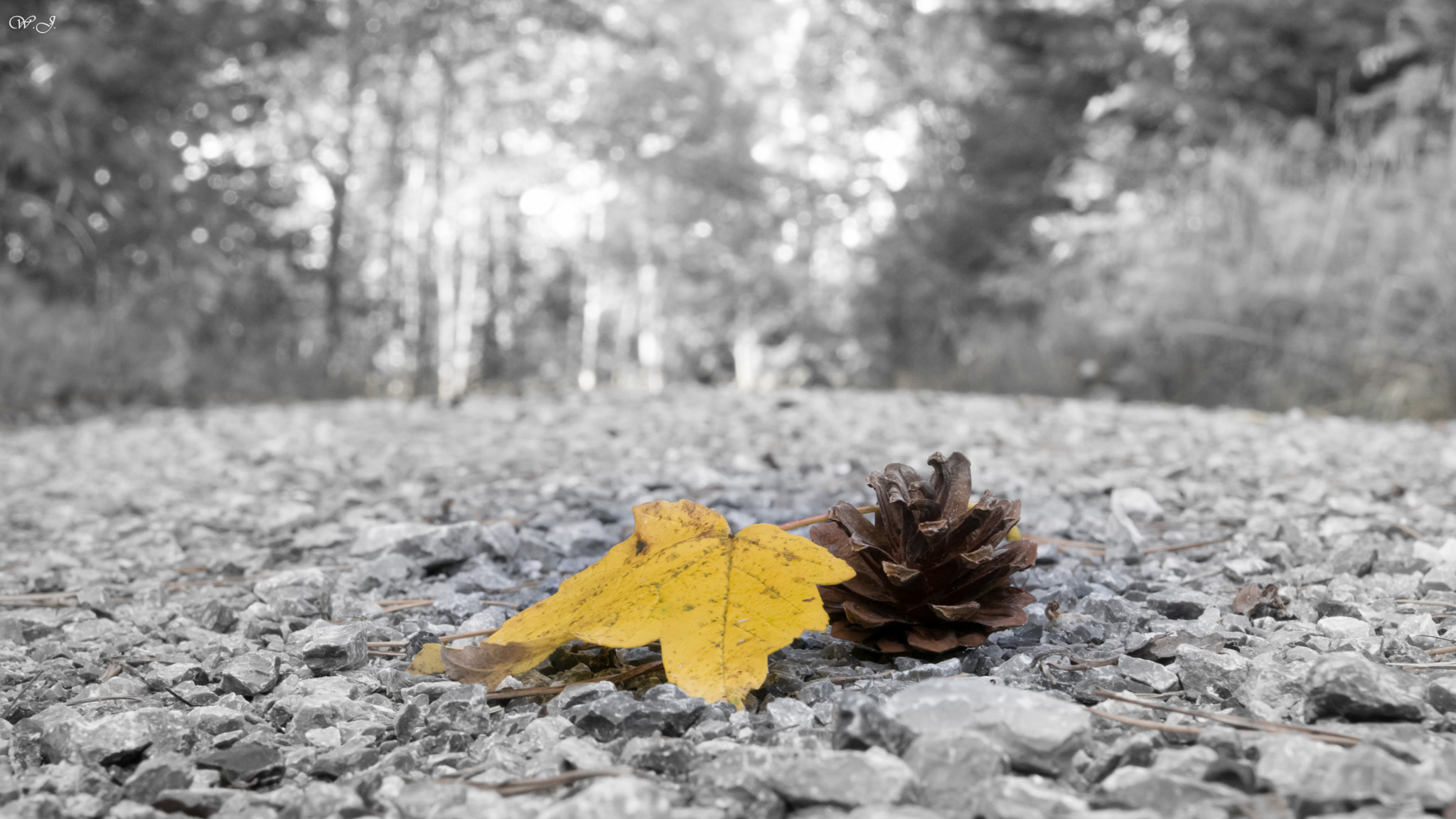 Sony ILCA-77M2 sample photo. The colder season photography