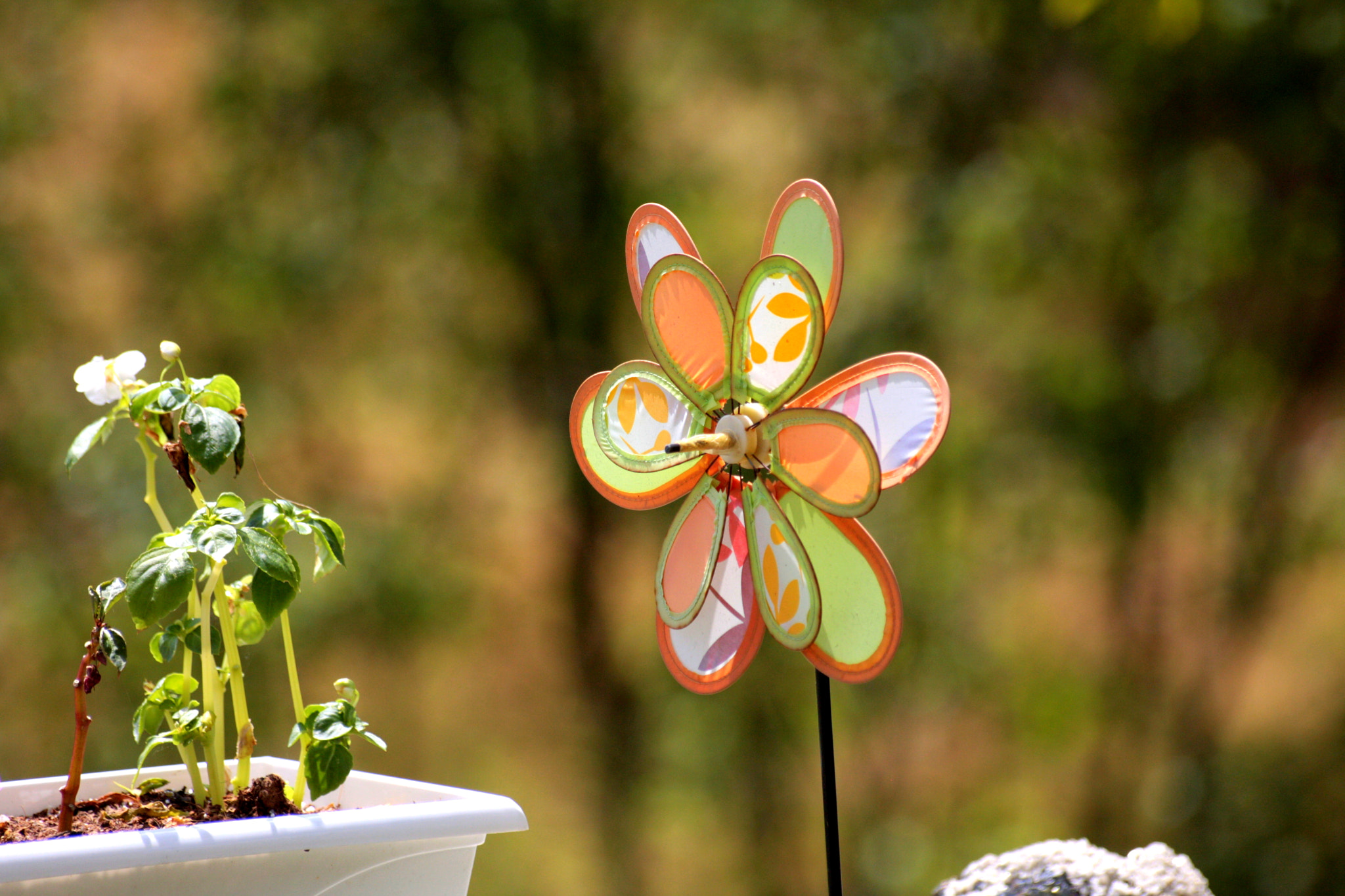 Canon EOS 40D sample photo. Wind snare photography