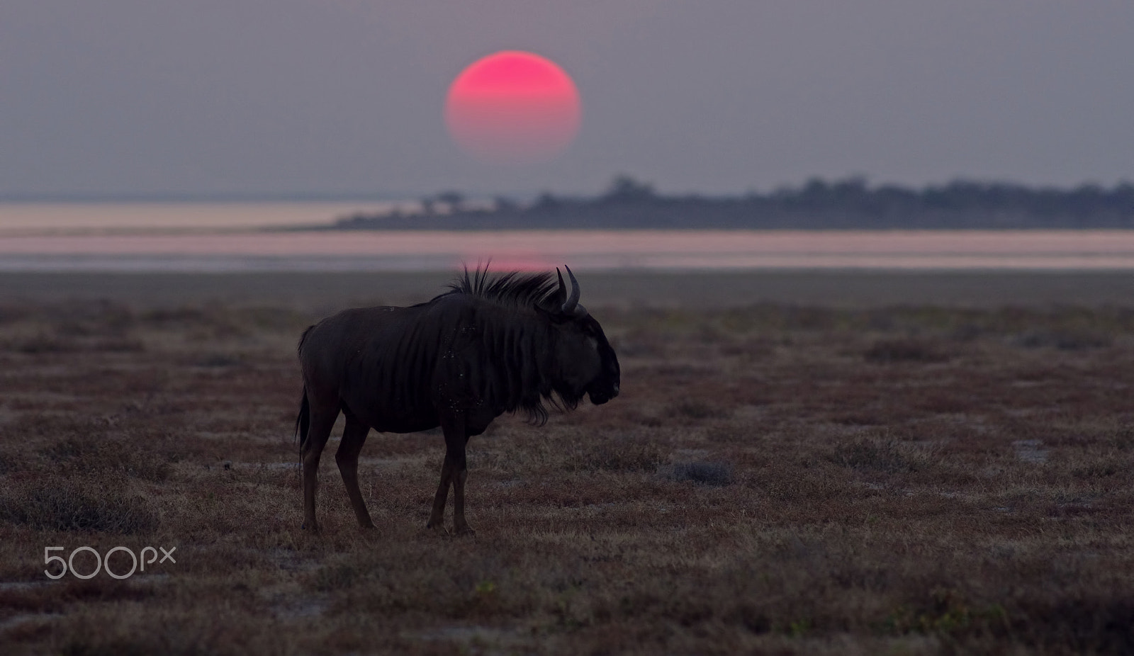 Pentax K-5 sample photo. Etosha sunset photography