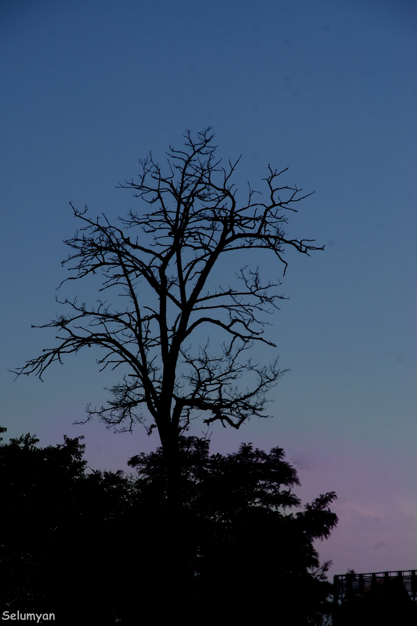 Nikon D80 + Sigma 18-125mm F3.8-5.6 DC HSM sample photo. Tranquil photography