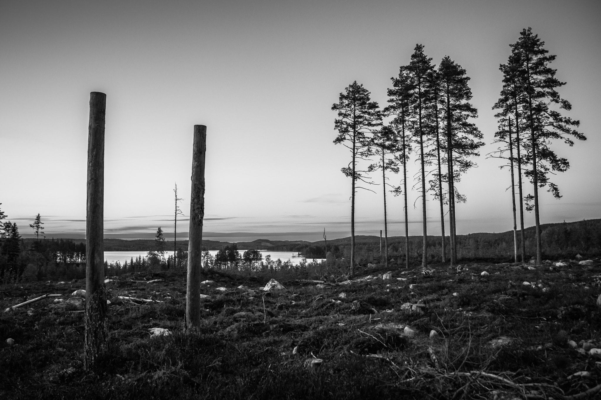 Canon EOS M3 sample photo. Deforestation photography