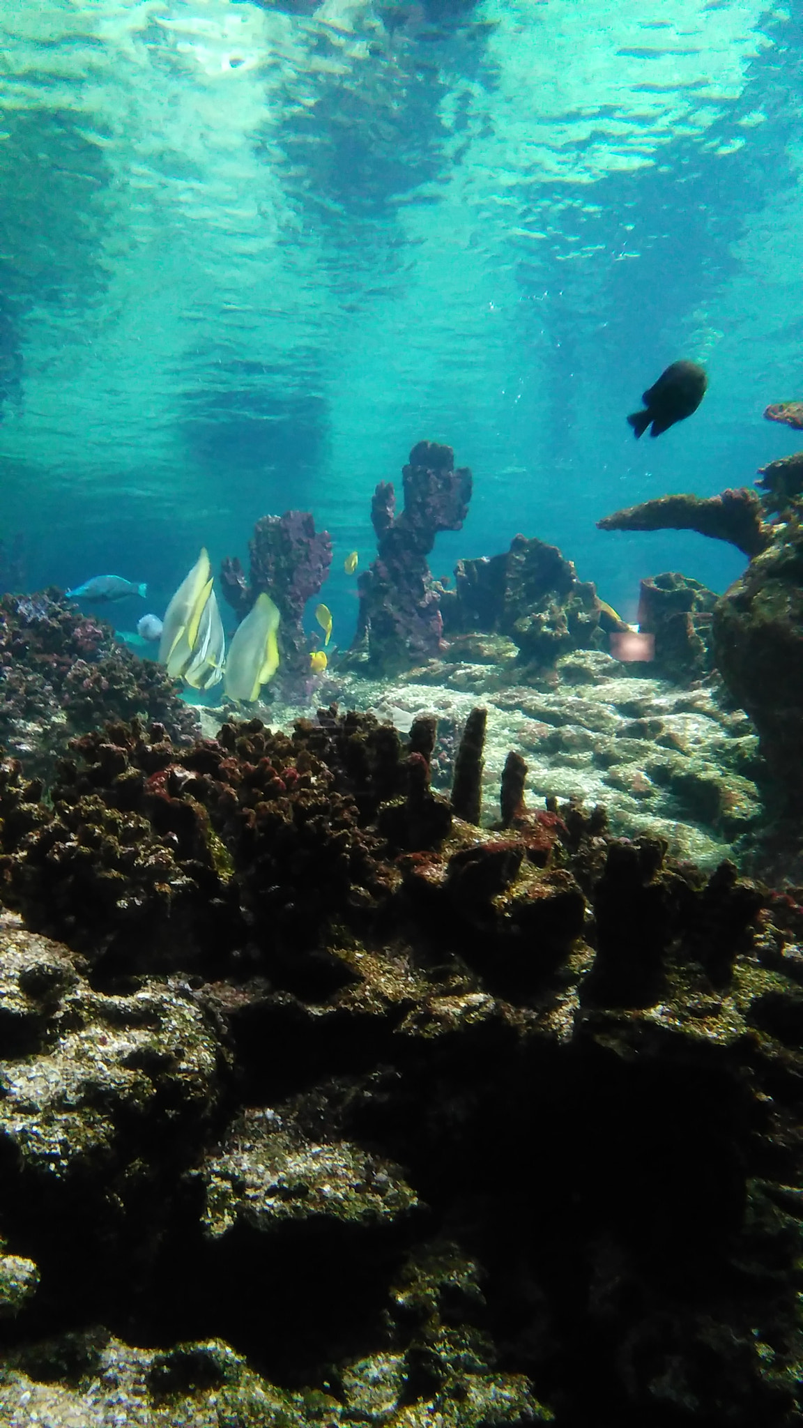 HUAWEI G620S-L01 sample photo. Ocean photography