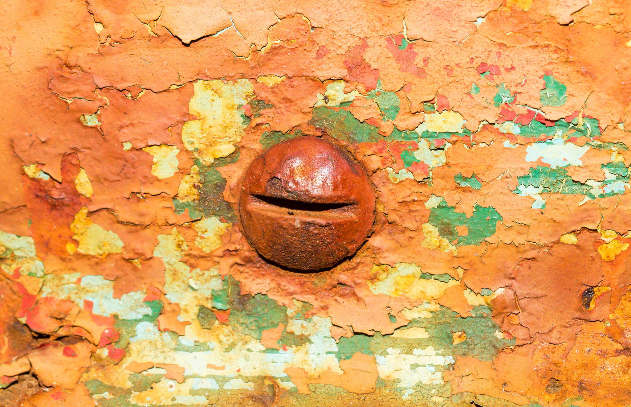 Sony SLT-A57 sample photo. Rust and paint photography