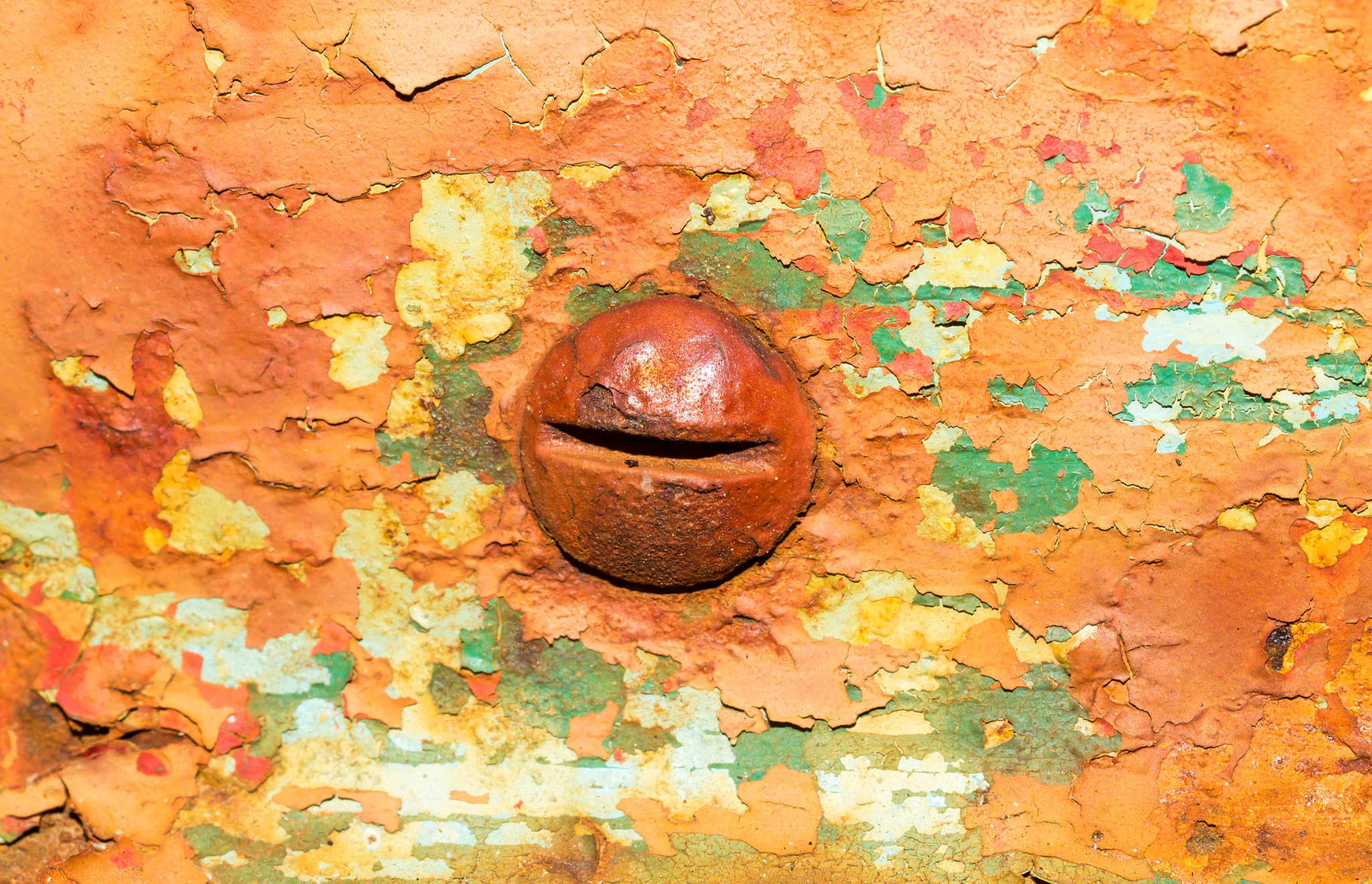 MACRO 50mm F2.8 sample photo. Rust and paint photography