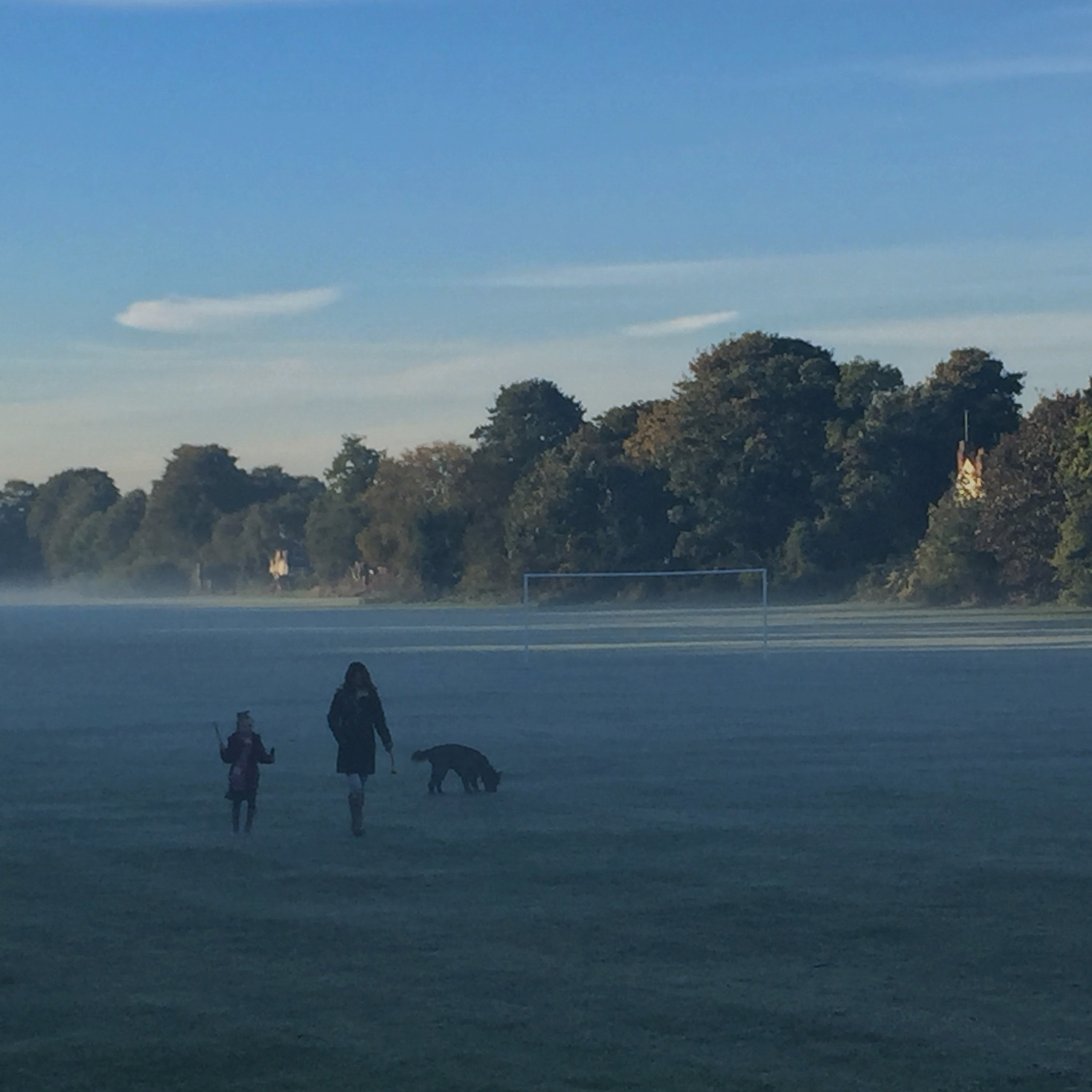 Jag.gr 645 PRO Mk III for Apple iPhone 6 sample photo. Misty walk across the park photography