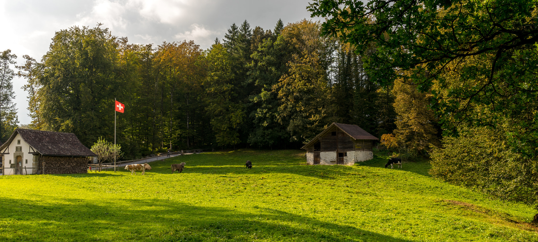 Sony a7 + Sony Distagon T* FE 35mm F1.4 ZA sample photo. Pure swissness photography