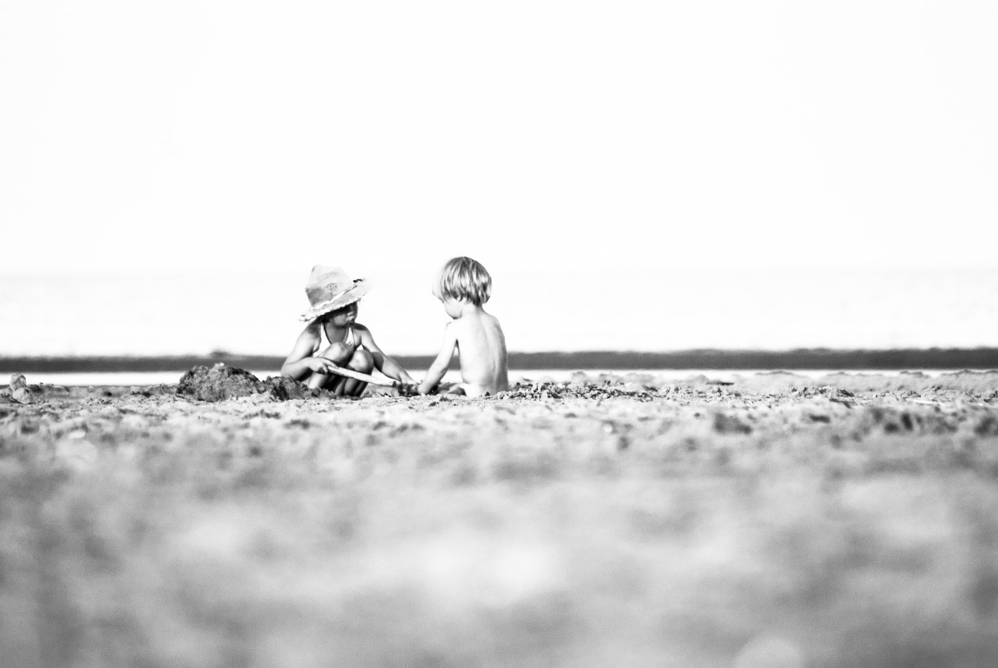 Nikon D60 sample photo. Feathers photography