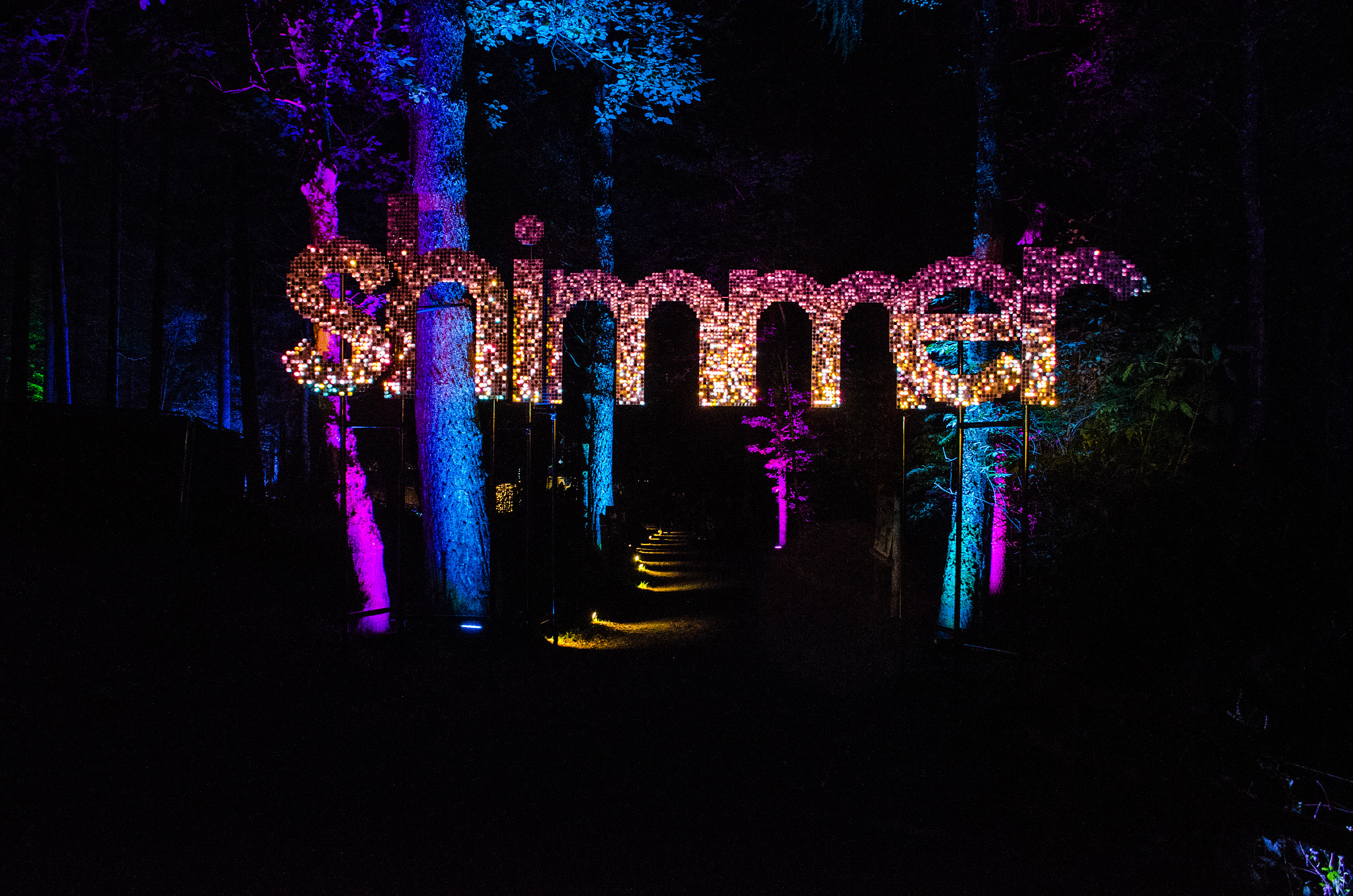 Nikon D5100 sample photo. Enchanted forest - shimmer 01 photography