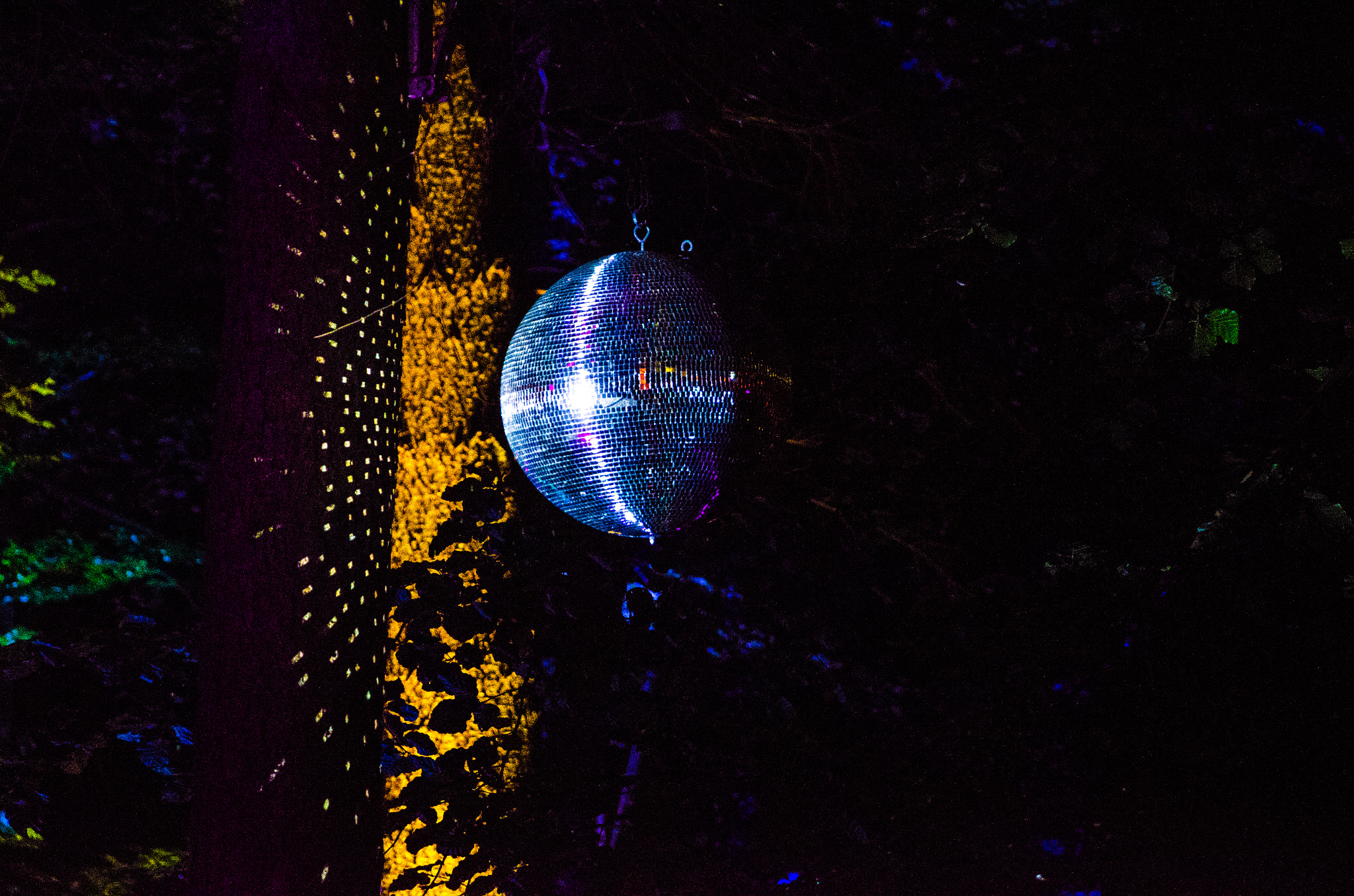 Nikon D5100 sample photo. Enchanted forest - shimmer 03 photography