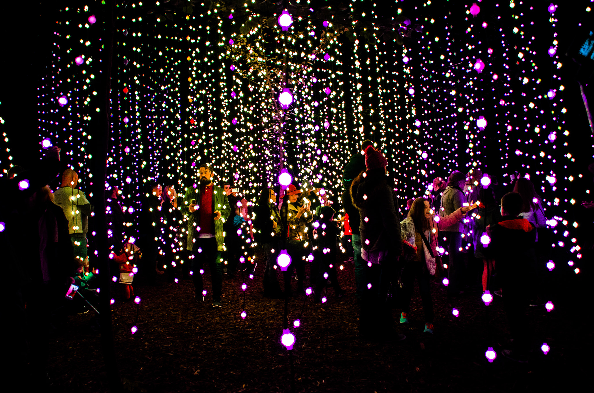 Nikon D5100 sample photo. Enchanted forest - shimmer 06 photography