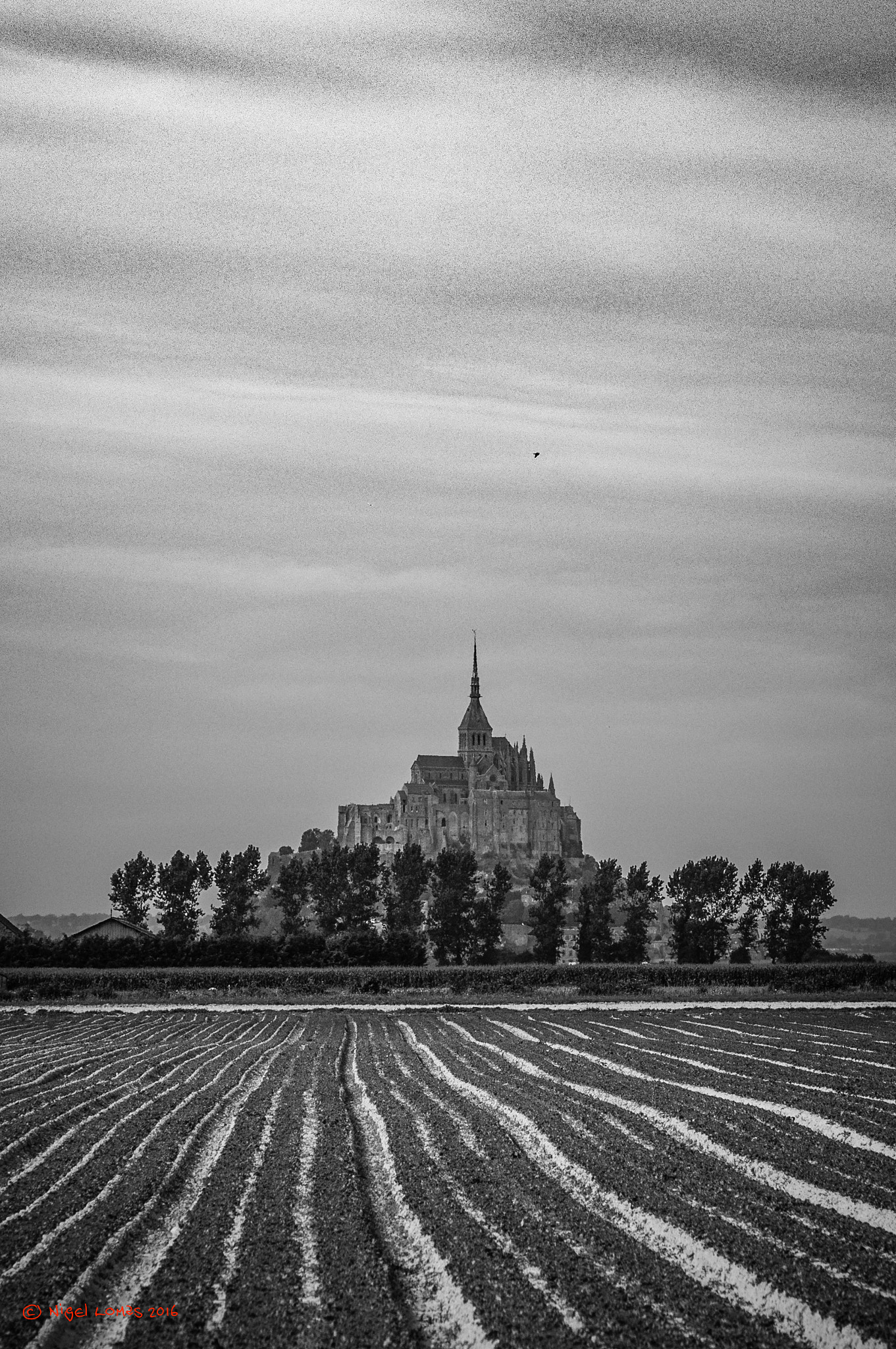 Nikon D5000 sample photo. Mont st michel photography