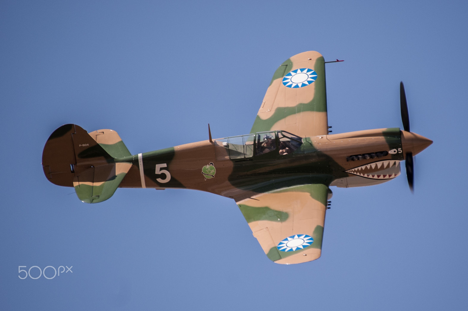 Sony Alpha DSLR-A330 sample photo. P-40 low pass photography