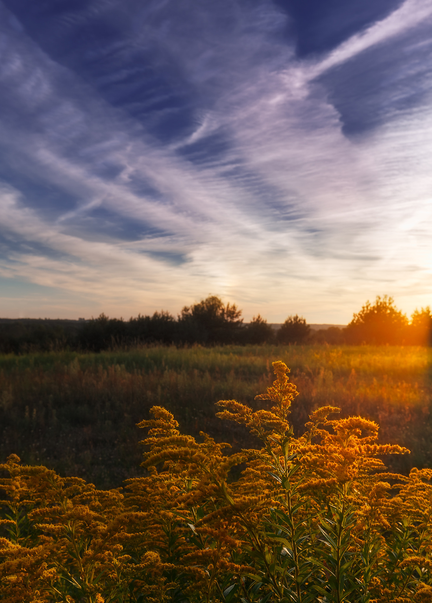 v2?sig=eee7e366298a06917a283dd9f66716decfa0fcbb0a9f1eaee404b443eaf7d7ad