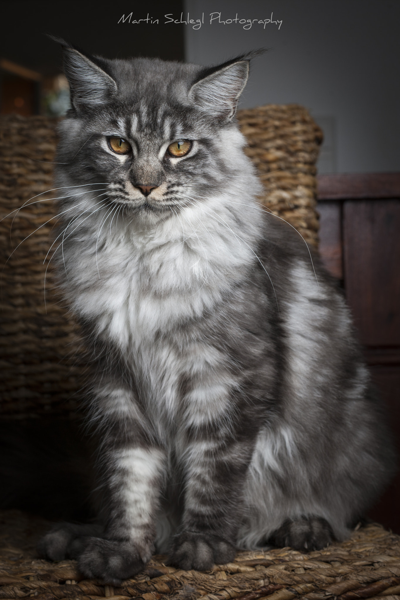 Canon EOS-1Ds Mark III sample photo. 6-7 monate alt <3 photography
