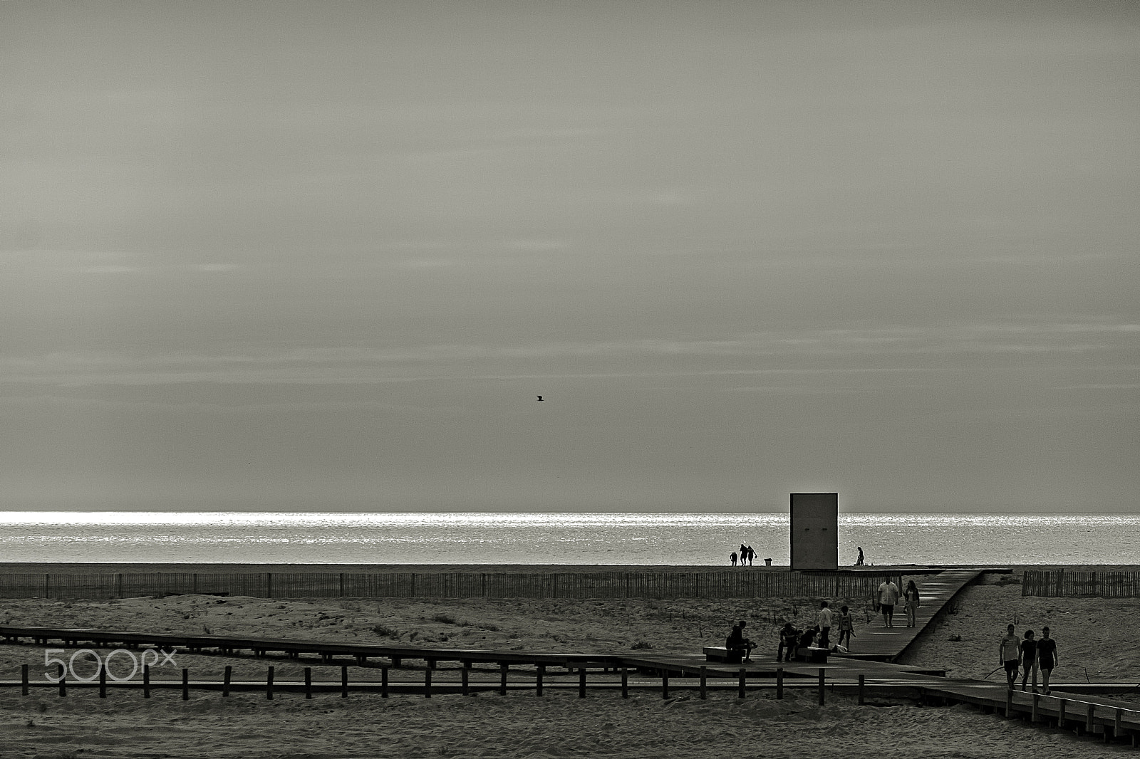 Canon EOS 500D (EOS Rebel T1i / EOS Kiss X3) sample photo. Light on the skyline. photography