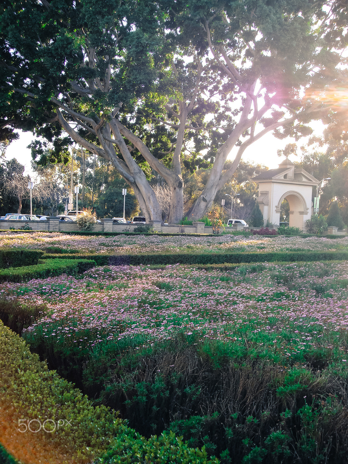 Sony DSC-N2 sample photo. Balboa park photography