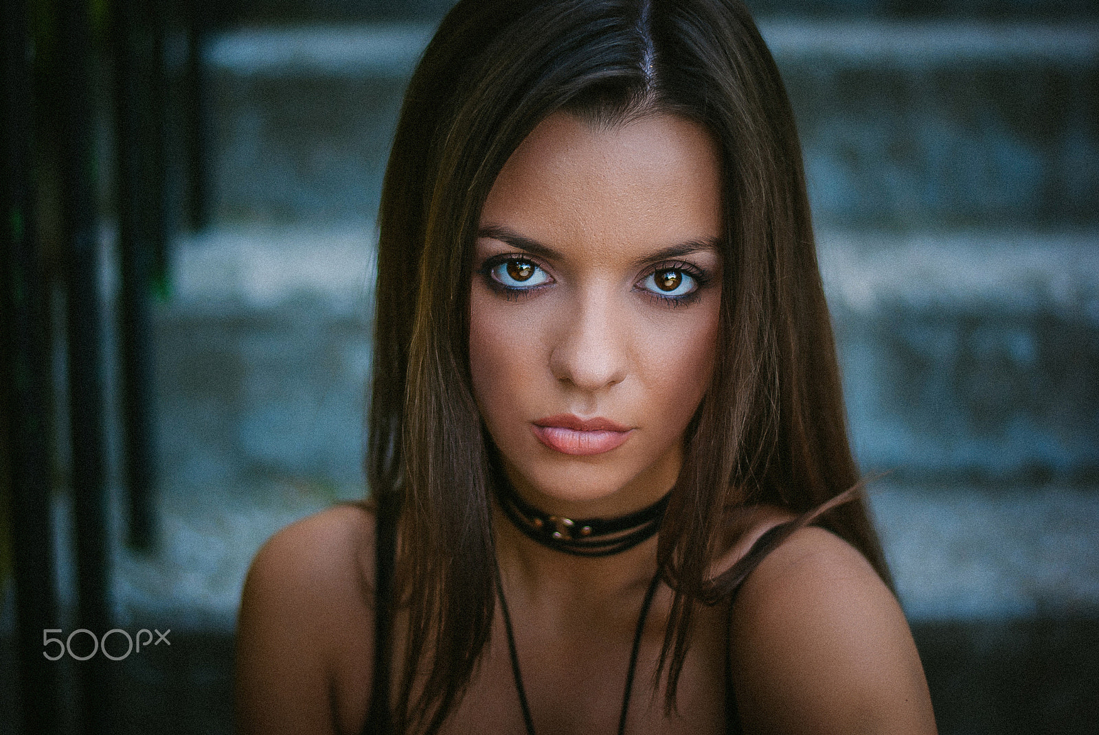 Nikon D80 + Nikon AF-S Nikkor 50mm F1.8G sample photo. Deadly look photography