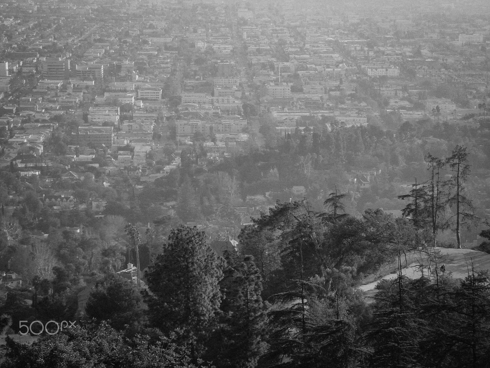 Sony DSC-N2 sample photo. Los angeles from griffith observatory photography