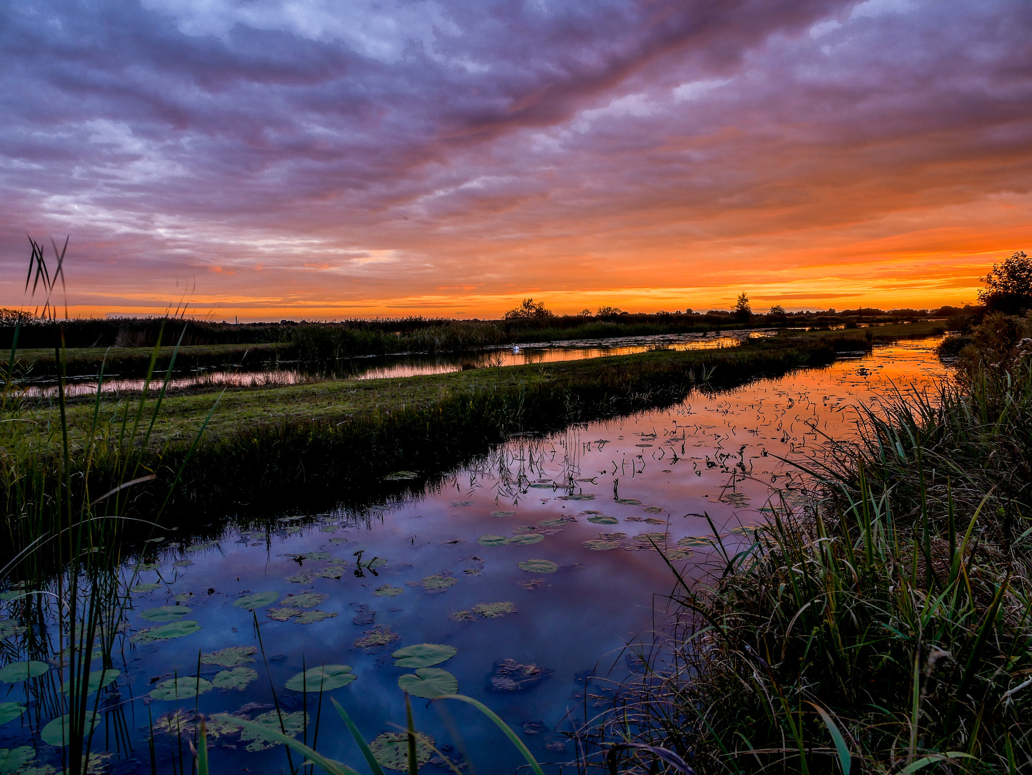 Panasonic Lumix DMC-GX7 sample photo. Tienhoven october sunset #3 photography