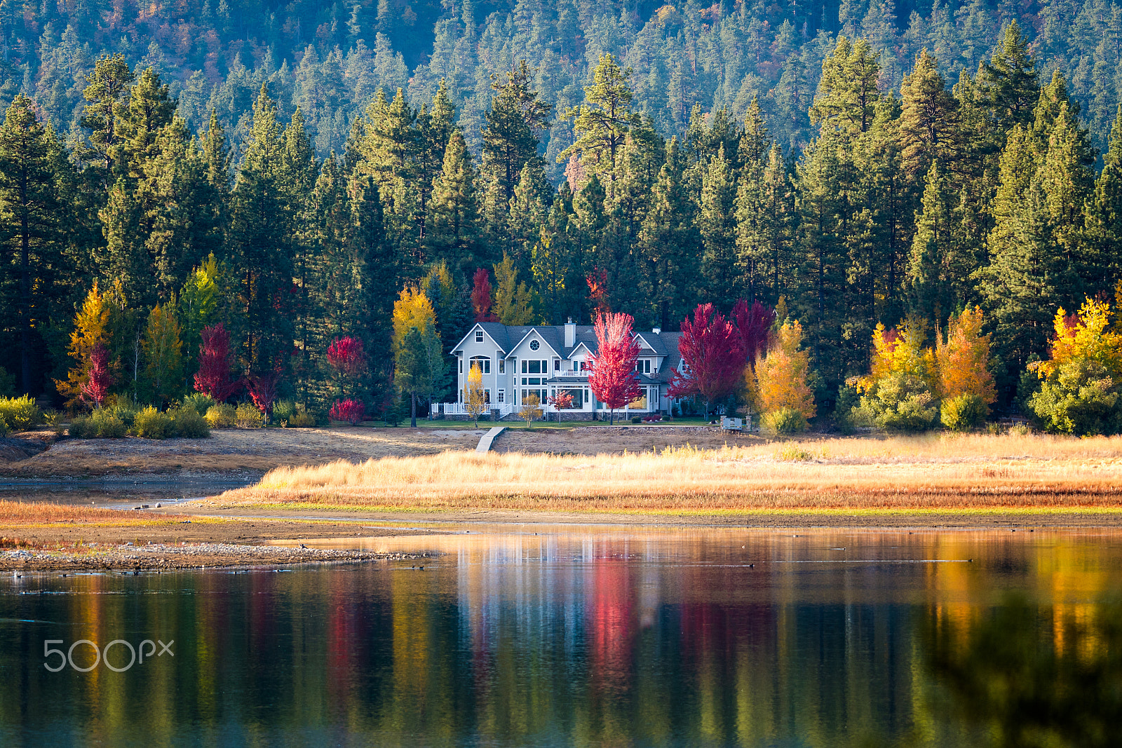 Nikon AF-S Nikkor 200mm F2G ED VR II sample photo. Dream home photography