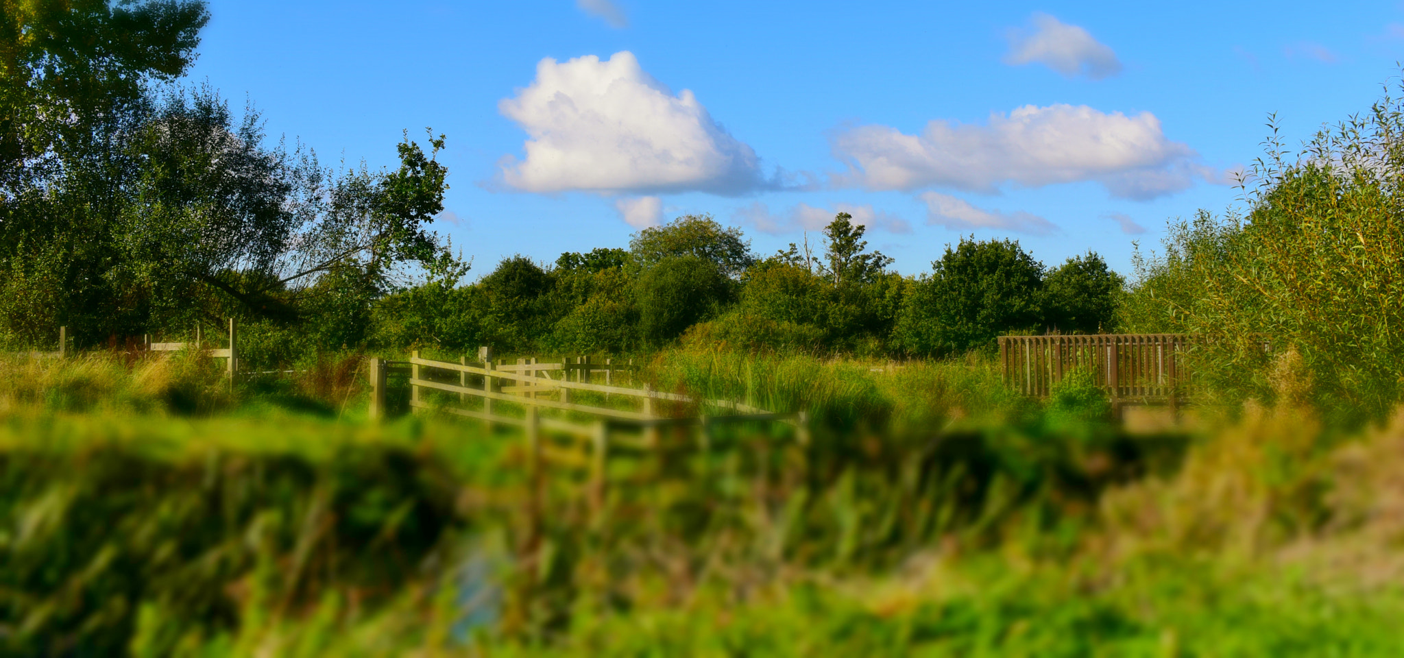 Sigma 50-500mm F4.5-6.3 DG OS HSM sample photo. Shepherd meadows sandhurst 10 october 2016 001 photography