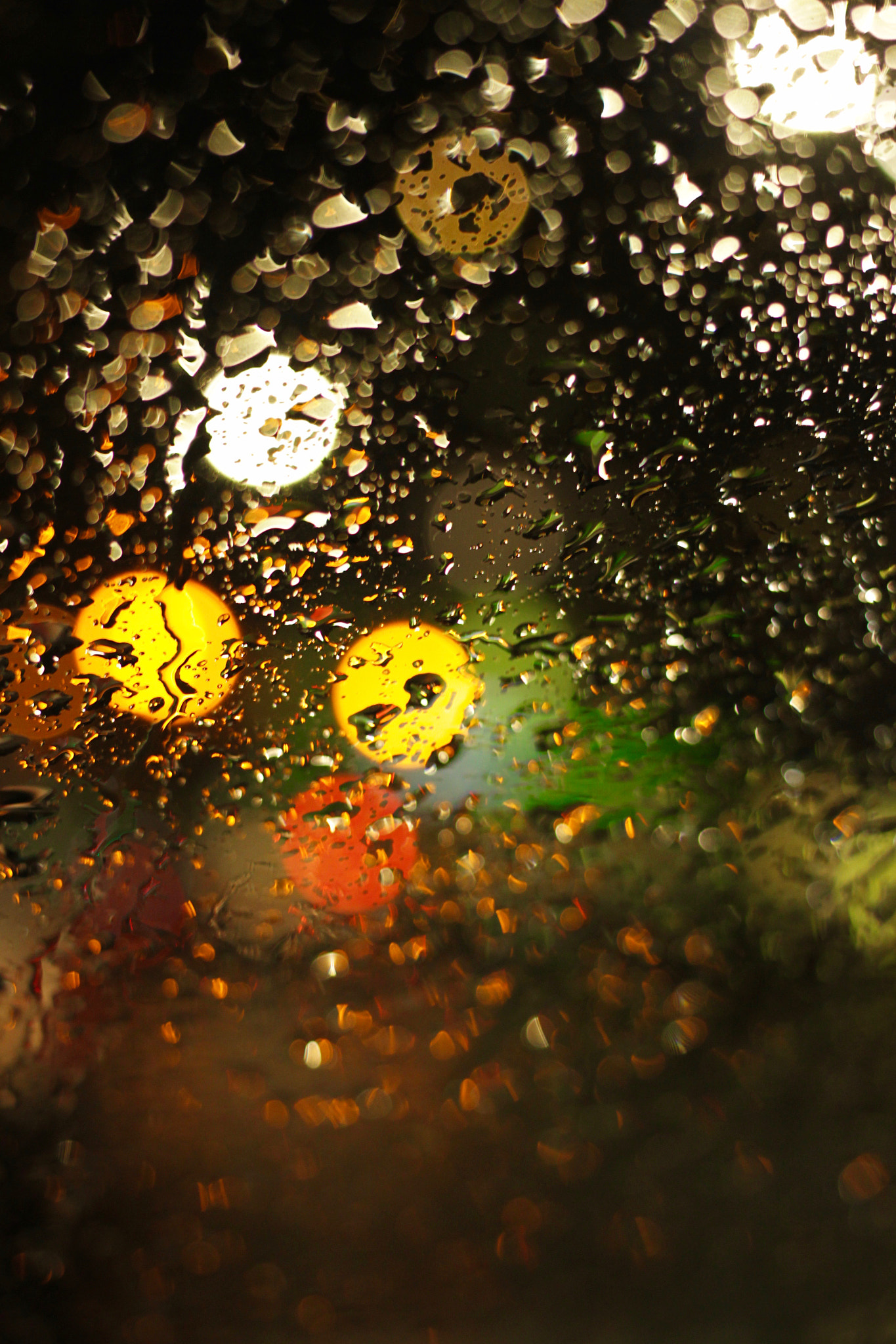Canon EF 40mm F2.8 STM sample photo. Yellow light photography