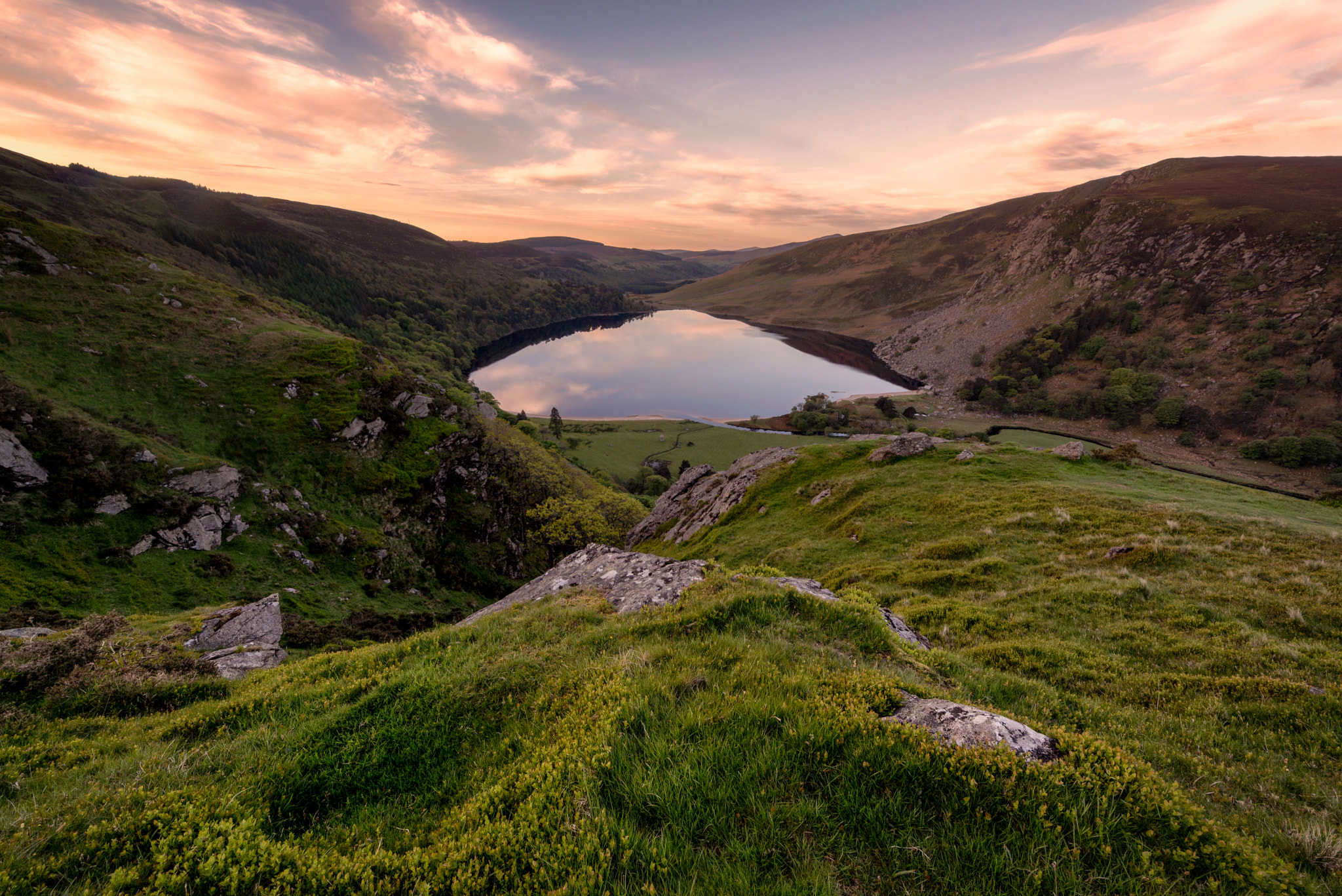 Nikon D610 + Sigma 12-24mm F4.5-5.6 EX DG Aspherical HSM sample photo. The garden of ireland photography