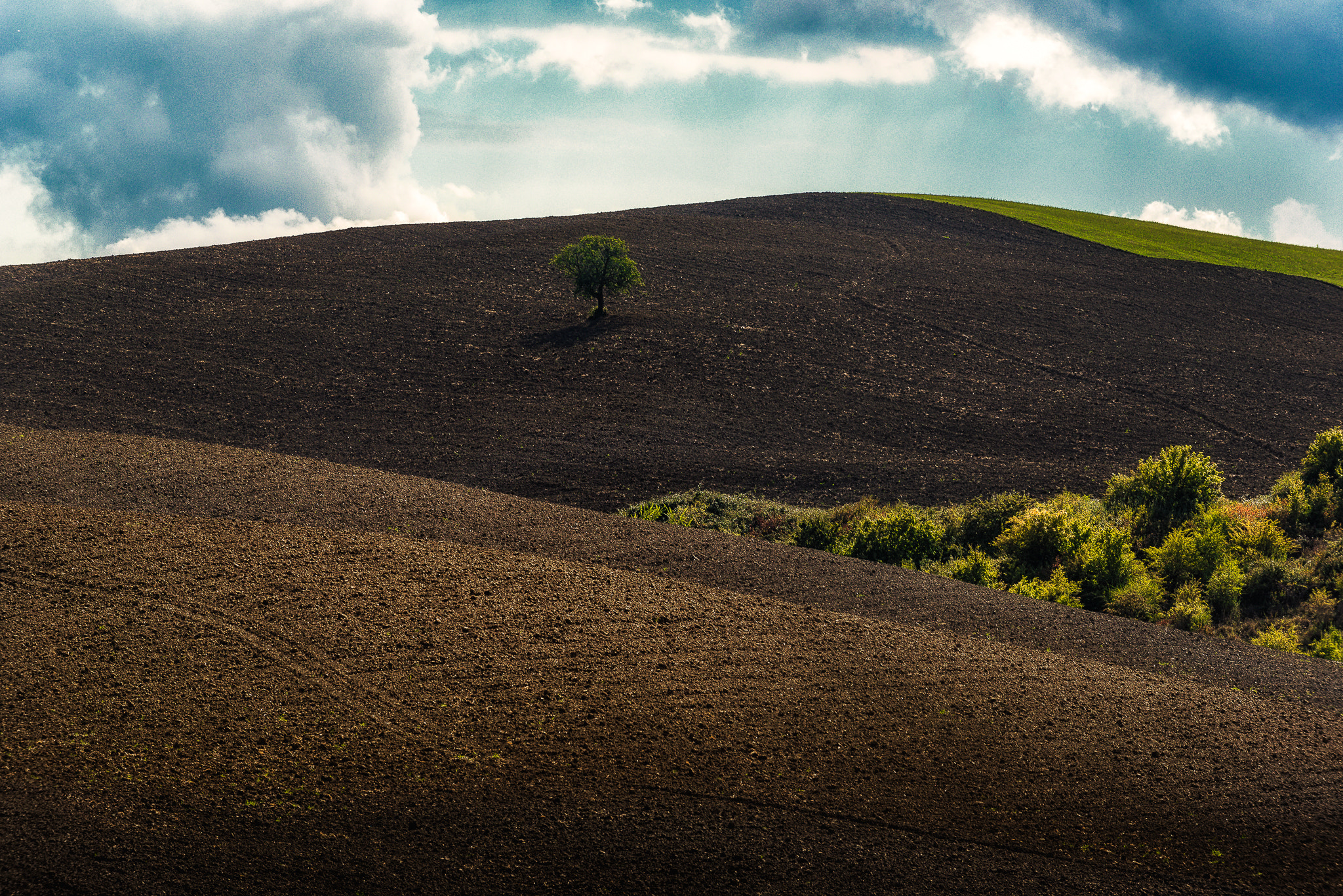AF-S Zoom-Nikkor 80-200mm f/2.8D IF-ED sample photo. Lonely tree photography