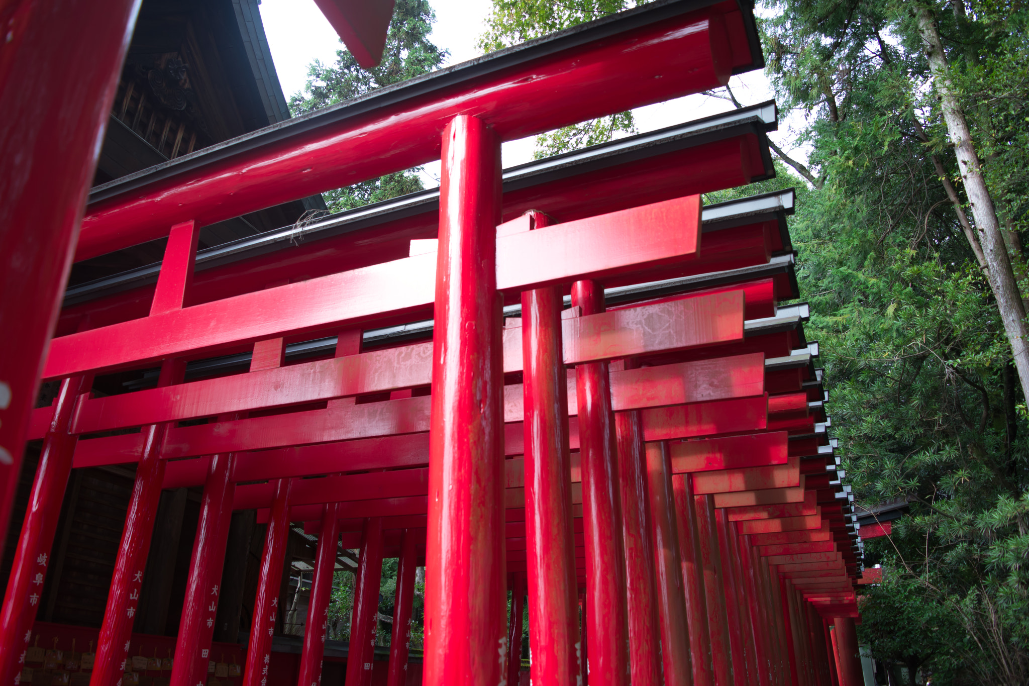Nikon D600 sample photo. The precincts of a shinto shrine photography