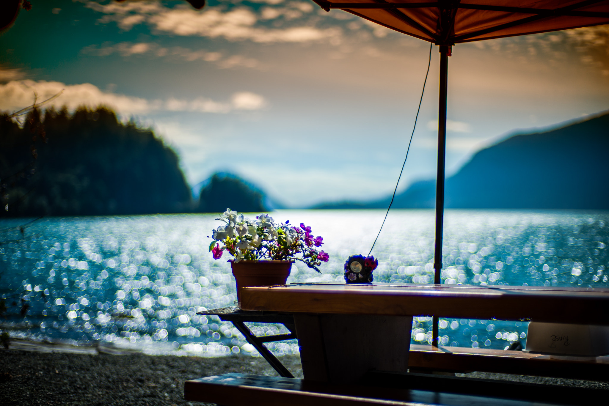 Noctilux-M 1:1/50 sample photo. Camp site, porteau cove provincial park photography