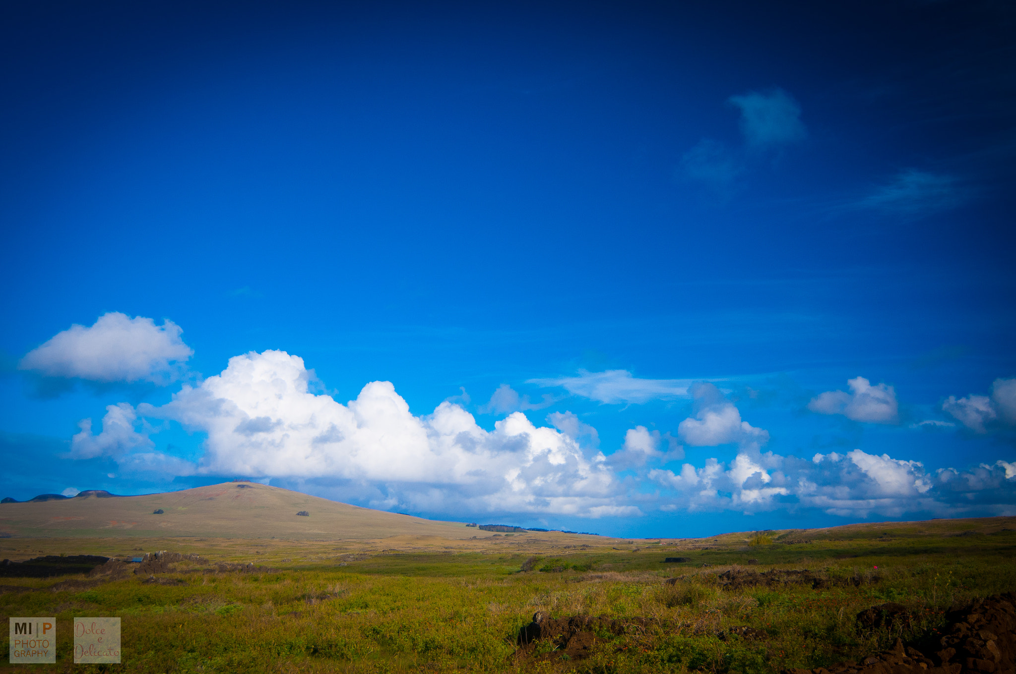 Nikon D300S sample photo