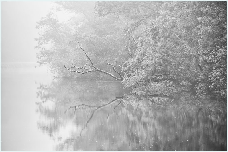 Sigma APO Macro 150mm f/2.8 EX DG HSM sample photo. River reflection photography