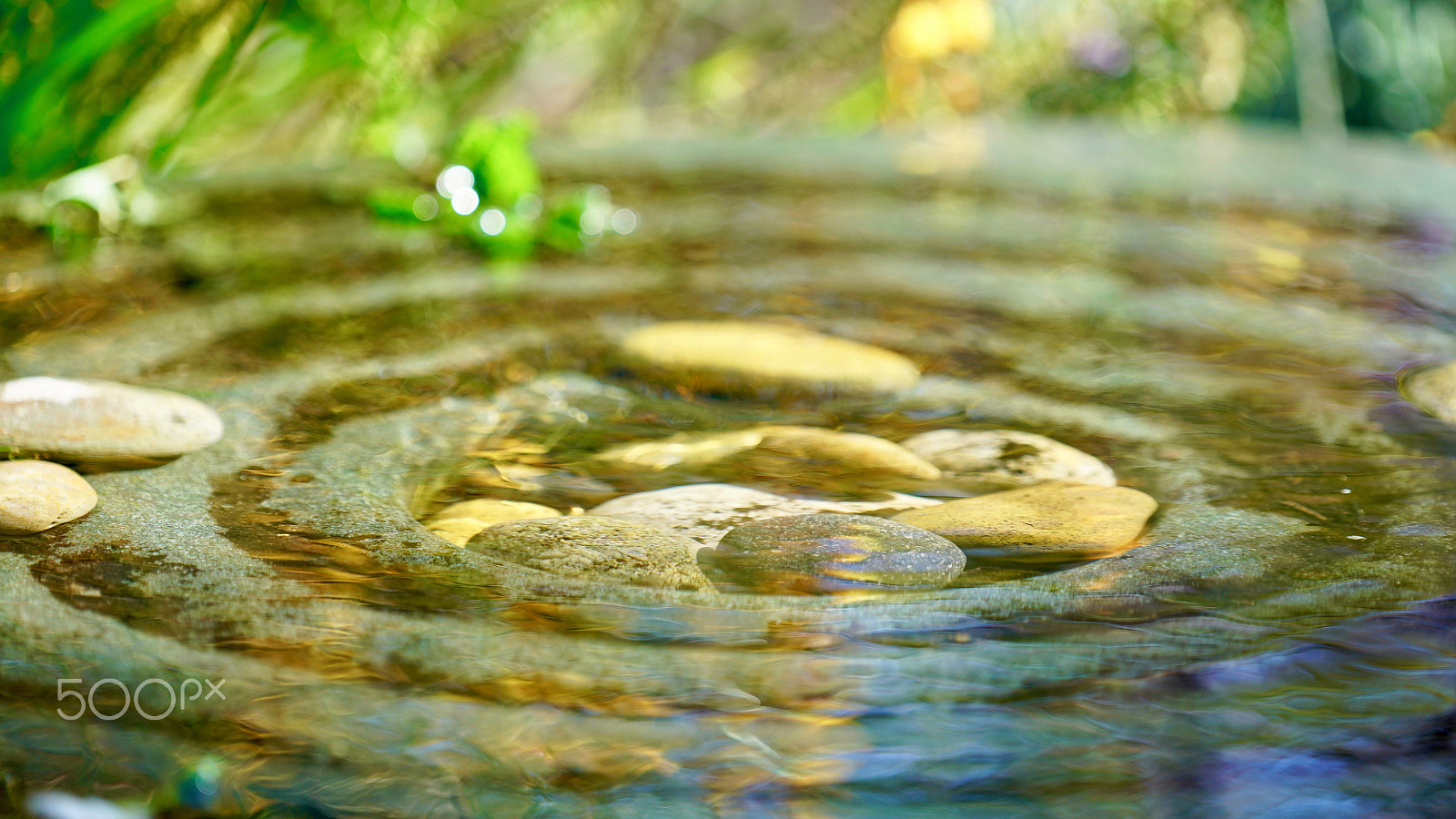 Sony a7S II + Sony FE 70-200mm F4 G OSS sample photo. Close your eyes & make a wish photography