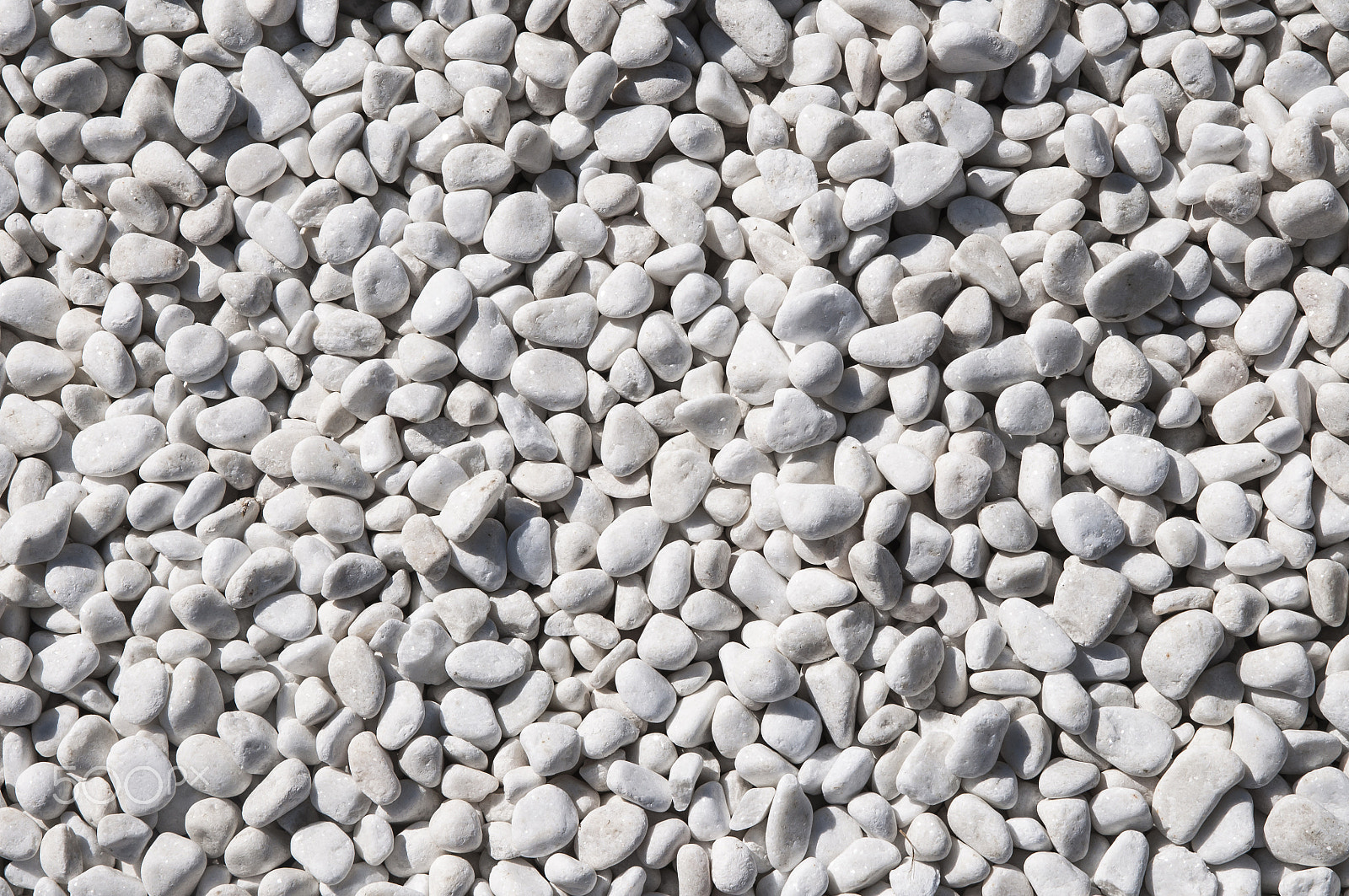 Sigma 17-70mm F2.8-4 DC Macro OS HSM sample photo. White stony background photography