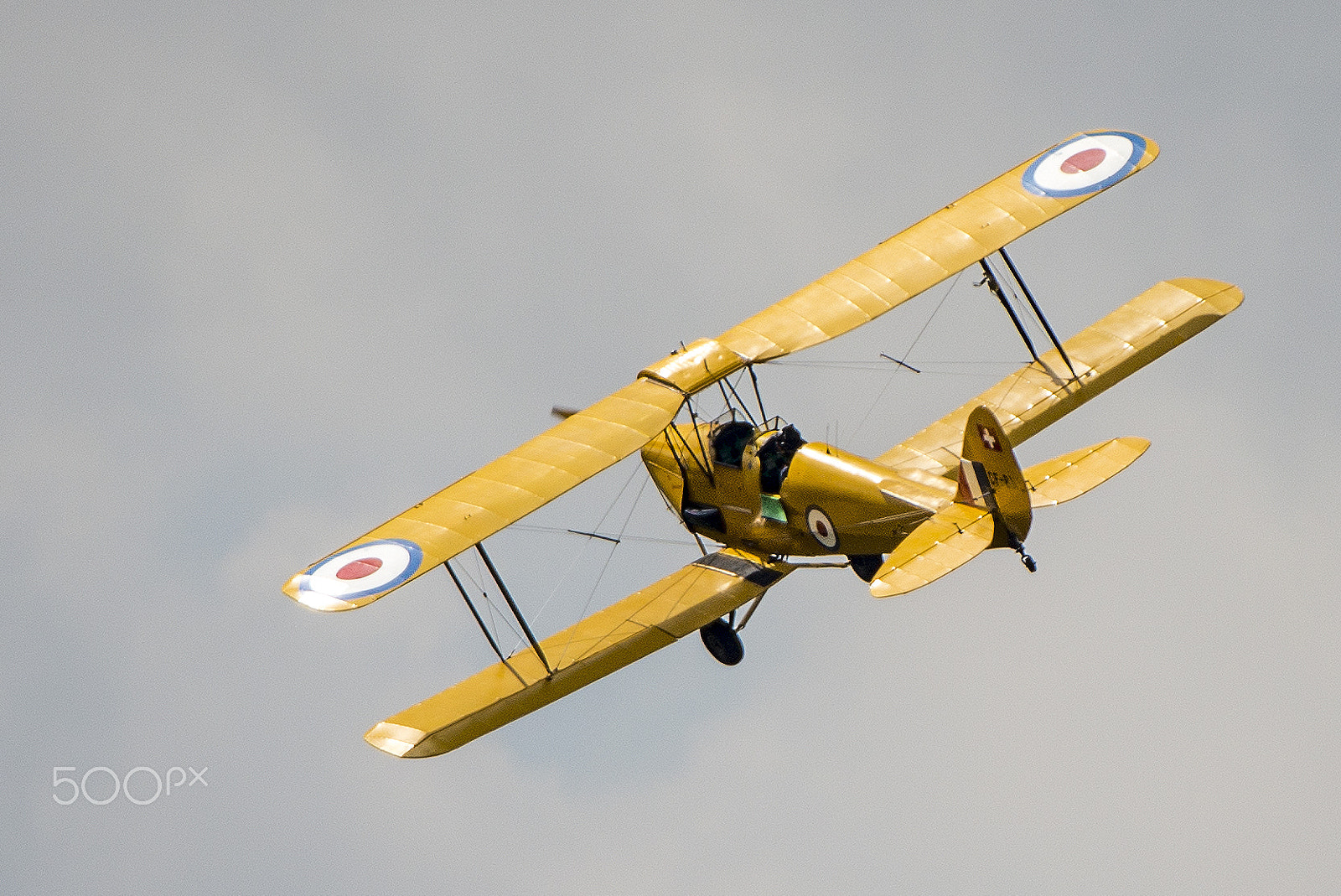 Nikon D600 sample photo. Tiger moth banking photography