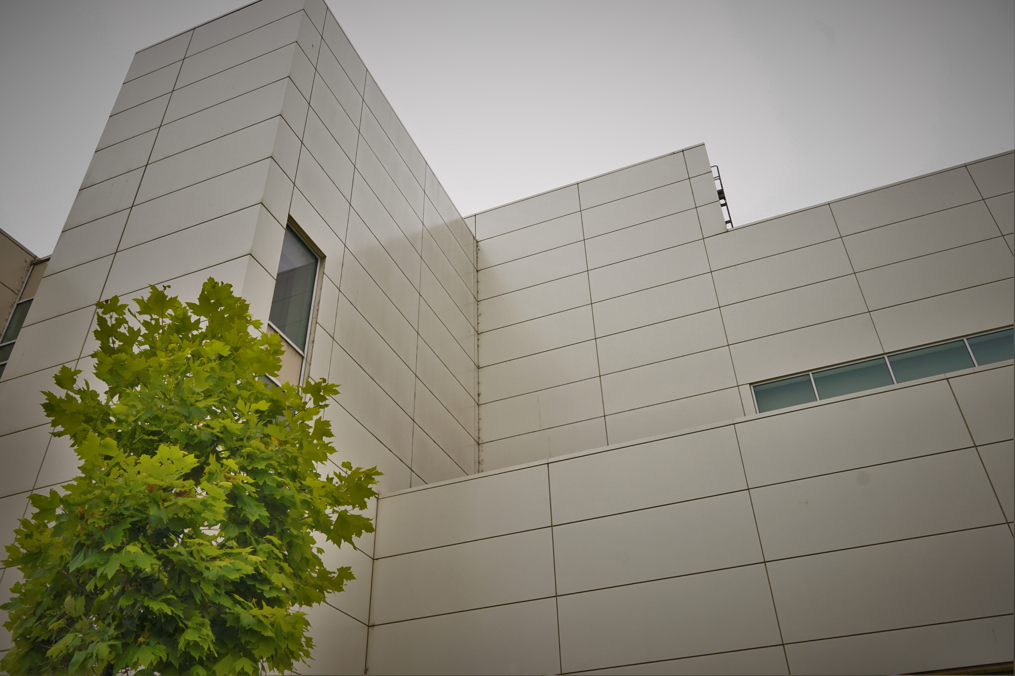 Sony a6300 + Sigma 19mm F2.8 EX DN sample photo. Minimalism photography