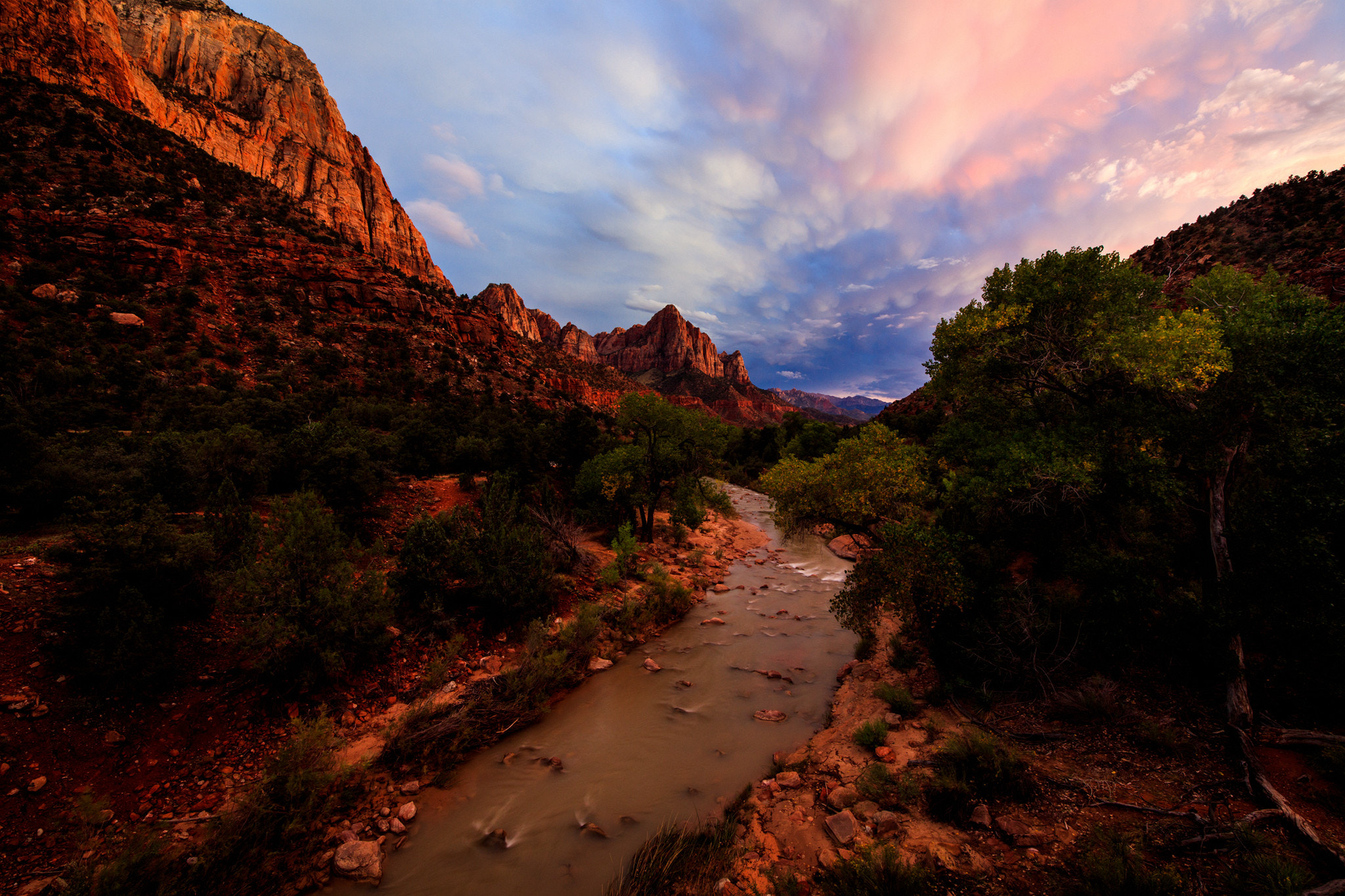 Canon EOS 5DS R sample photo. Zion photography