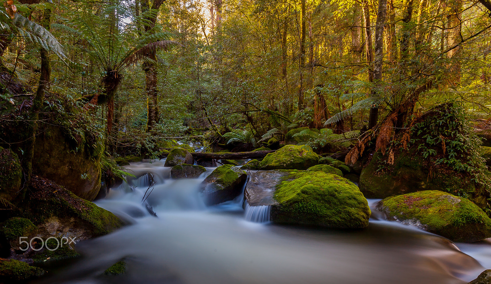 Canon EF 16-35mm F4L IS USM sample photo. Taggerty cascades,victoria,australia photography