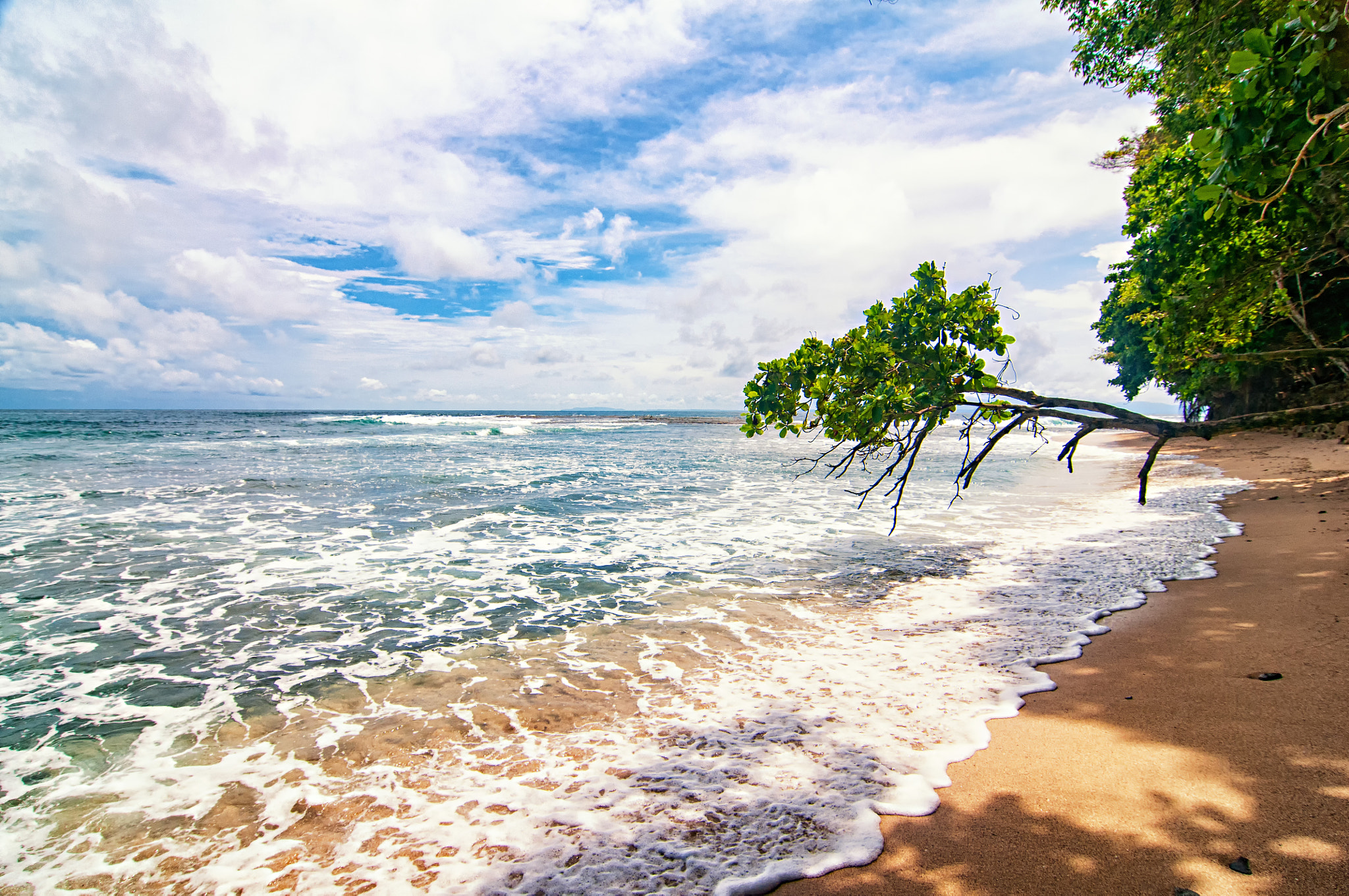 Nikon D300 + Tokina AT-X Pro 12-24mm F4 (IF) DX sample photo. Beach in costa rica photography