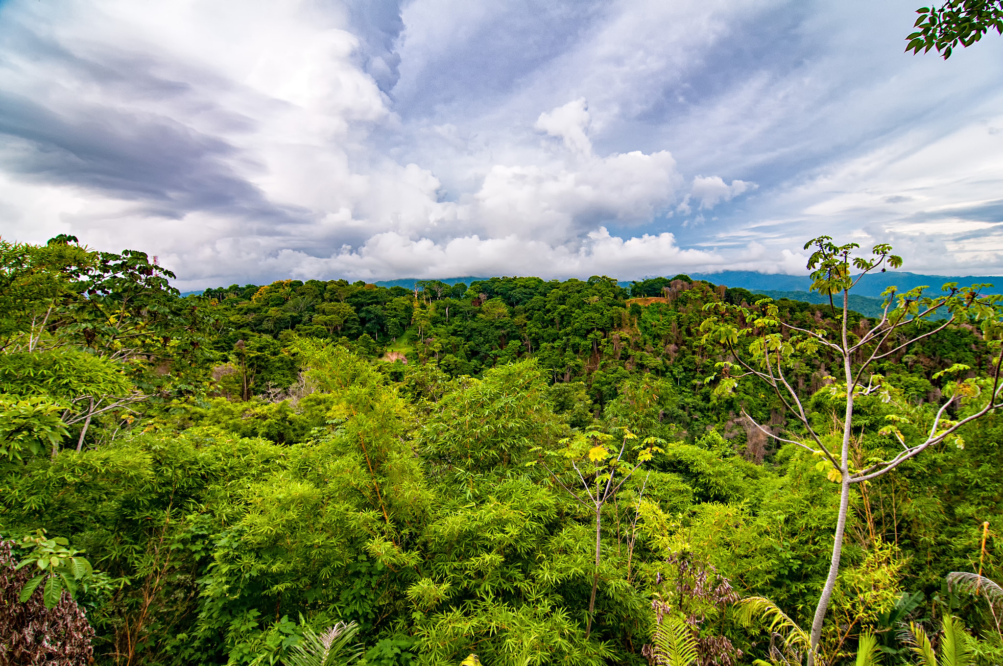Tokina AT-X Pro 12-24mm F4 (IF) DX sample photo. Costa rica rainforest photography