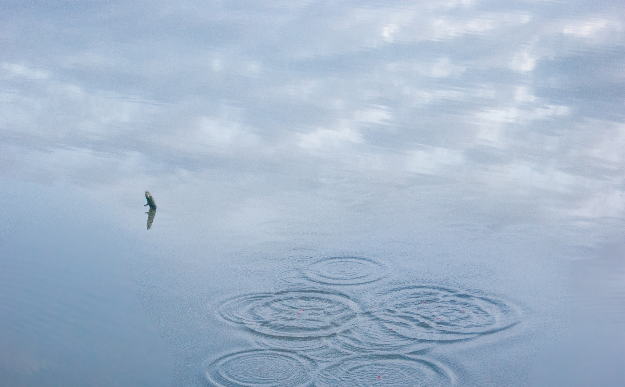 Sony Alpha DSLR-A290 + Sony DT 18-55mm F3.5-5.6 SAM sample photo. Sky & water photography