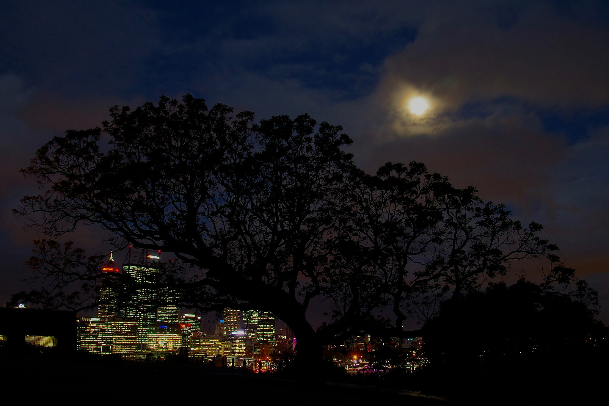 Pentax K-5 IIs sample photo. City behind the tree photography