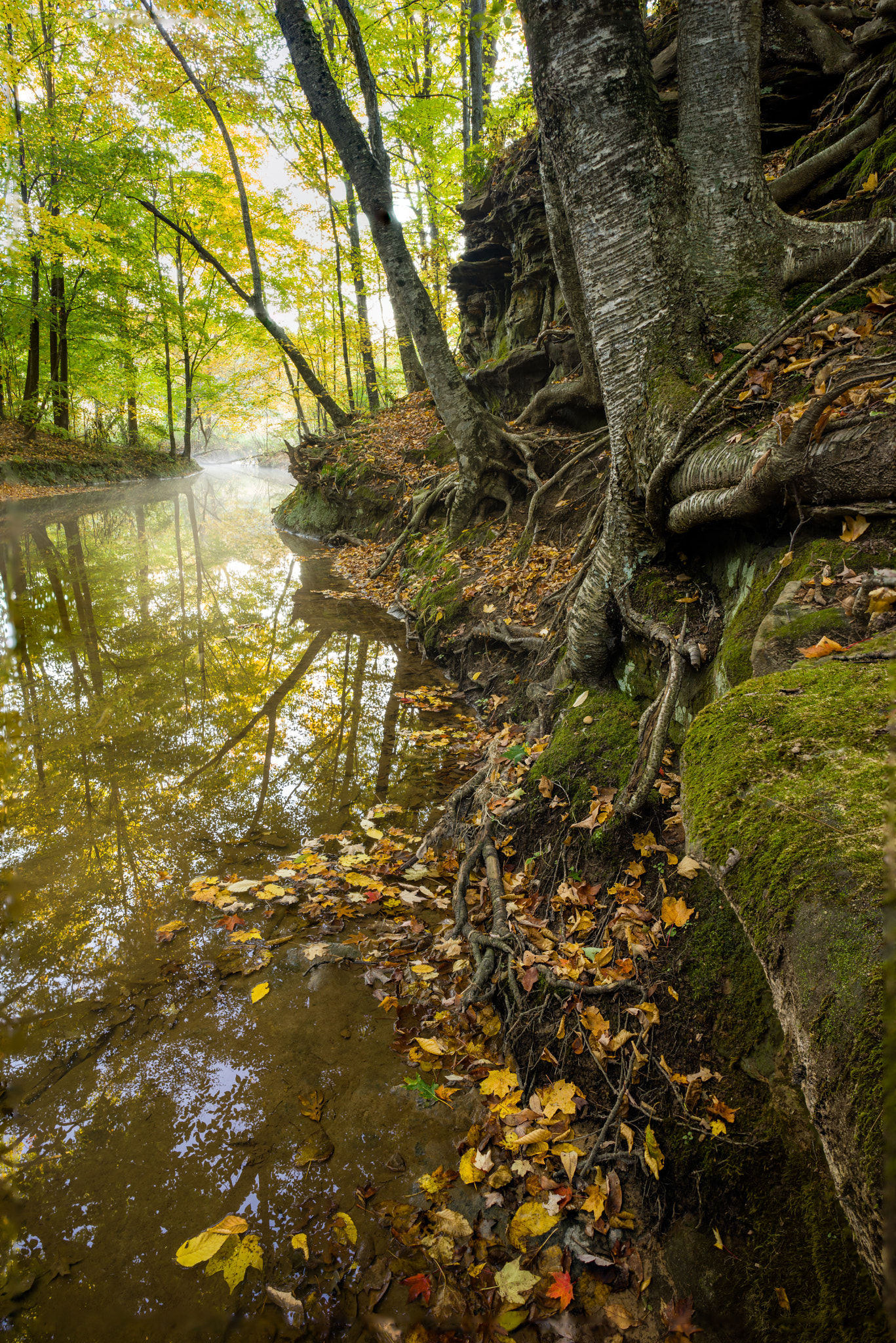 Sony a7R + E 21mm F2.8 sample photo. Beyond the nest photography