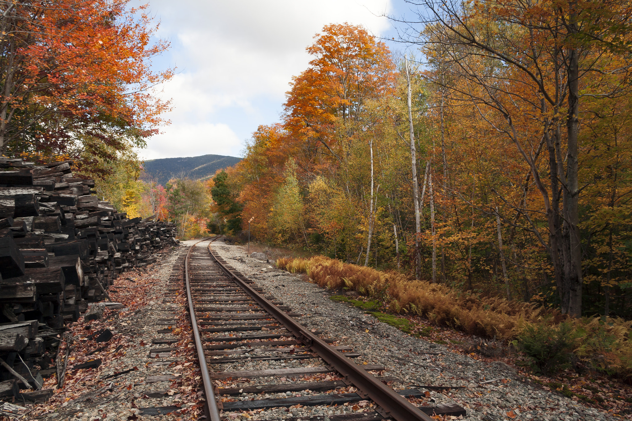 Canon EOS 1000D (EOS Digital Rebel XS / EOS Kiss F) sample photo. Fall in new hampshire photography