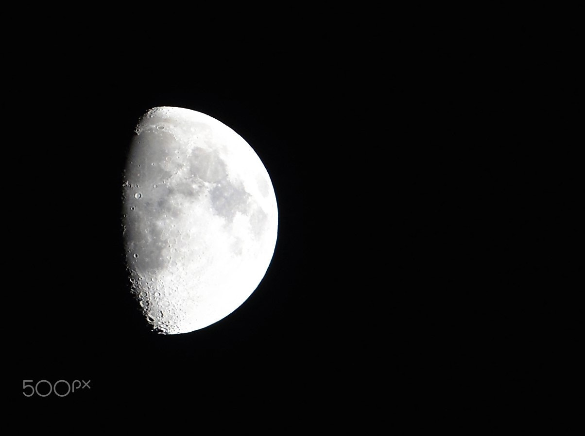 Nikon AF-S Nikkor 70-200mm F2.8G ED VR II sample photo. Half 1 photography