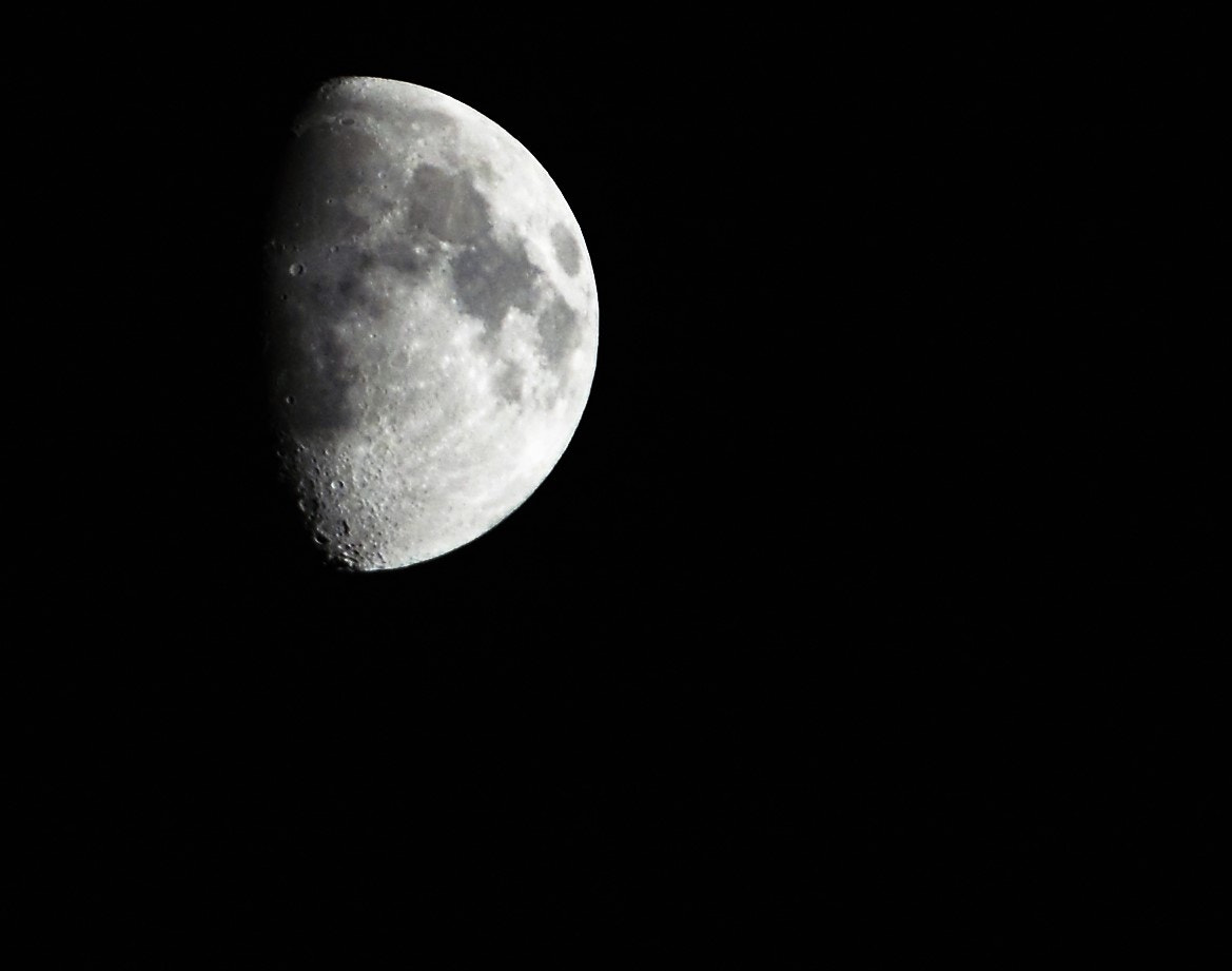Nikon AF-S Nikkor 70-200mm F2.8G ED VR II sample photo. Half 2 photography
