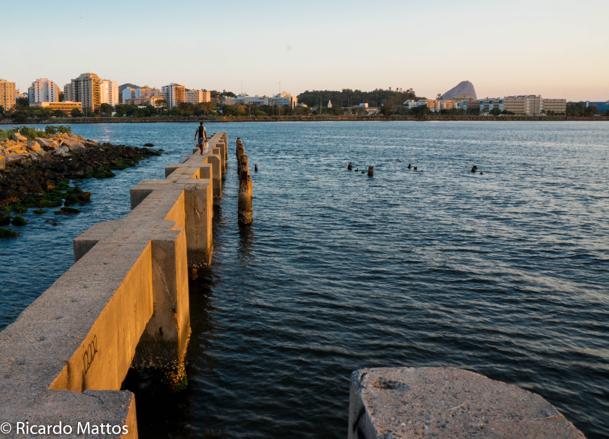 Sony Alpha a5000 (ILCE 5000) + Sony E 18-55mm F3.5-5.6 OSS sample photo. Fo photography